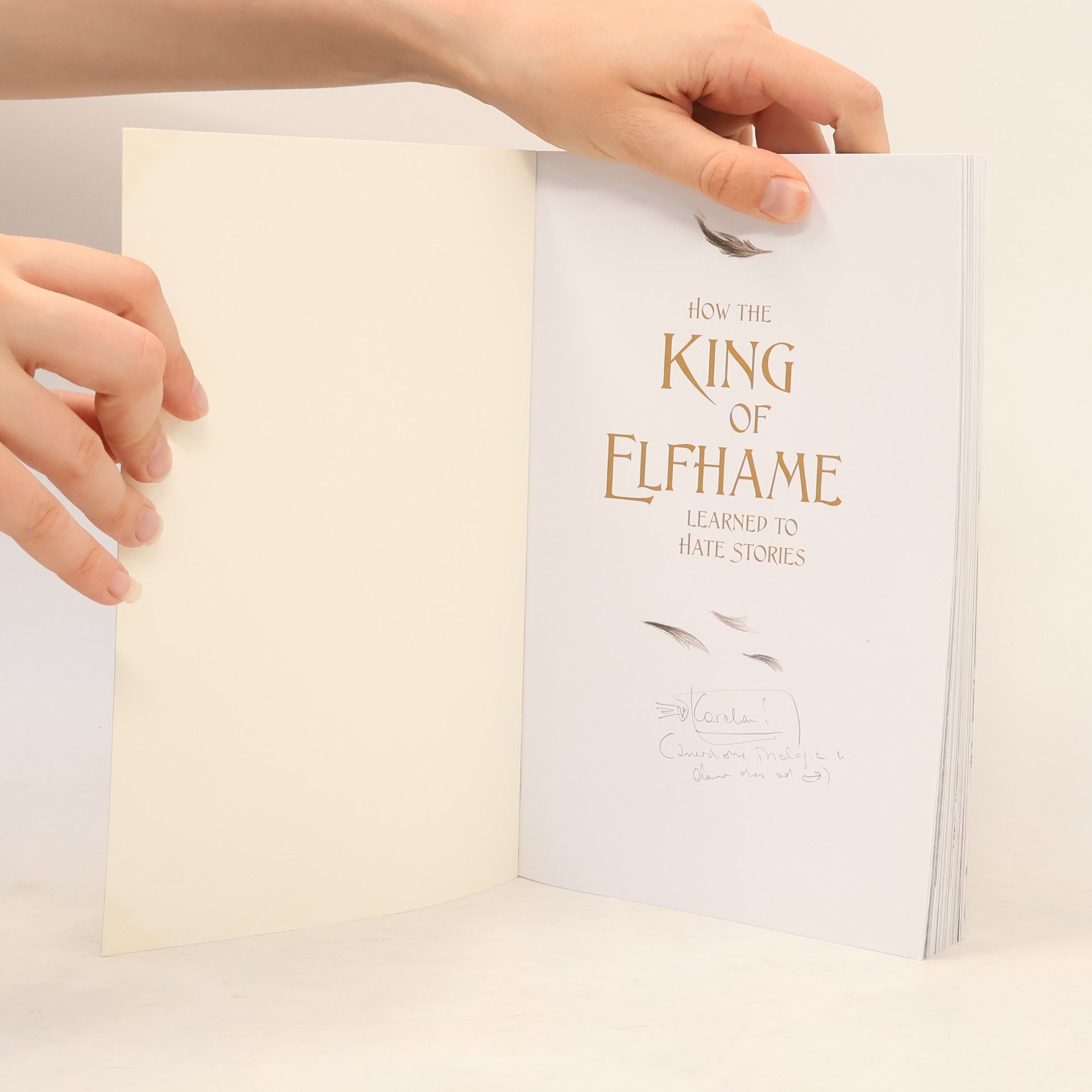 Holly Black How the King of Elfhame learned to hate stories