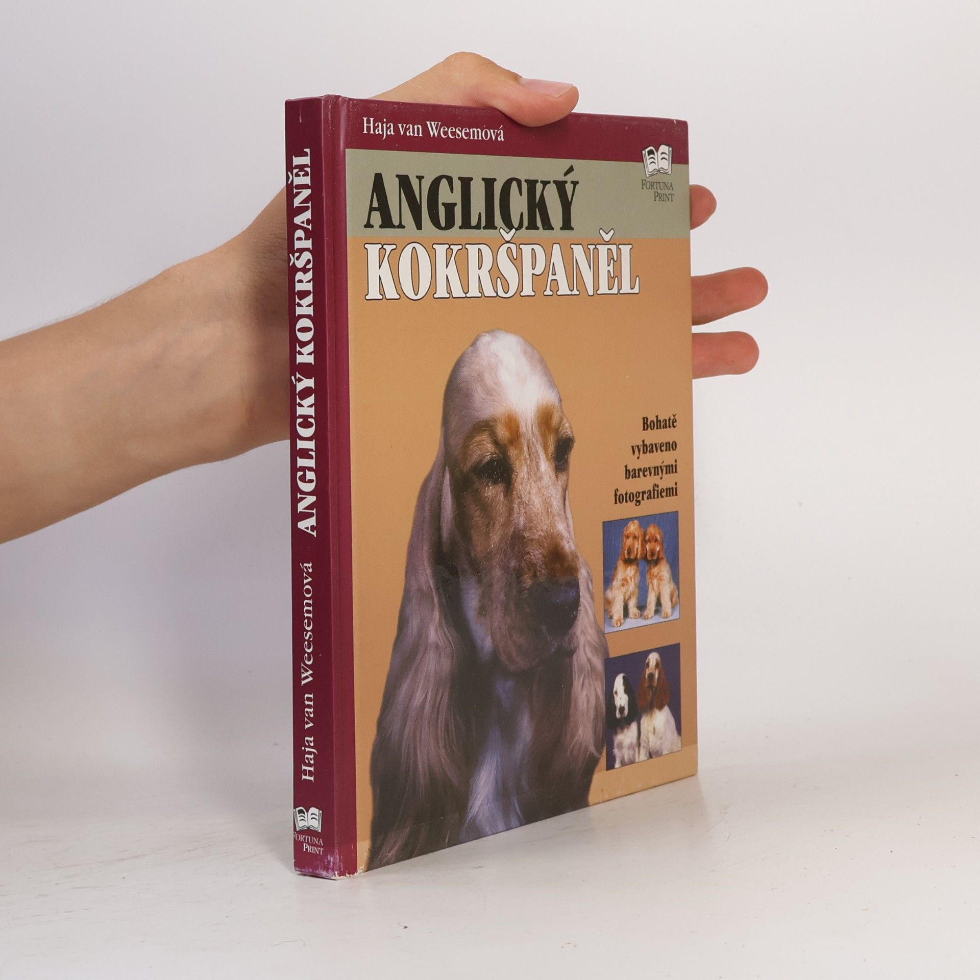 Haja van Wessem Anglický kokršpaněl