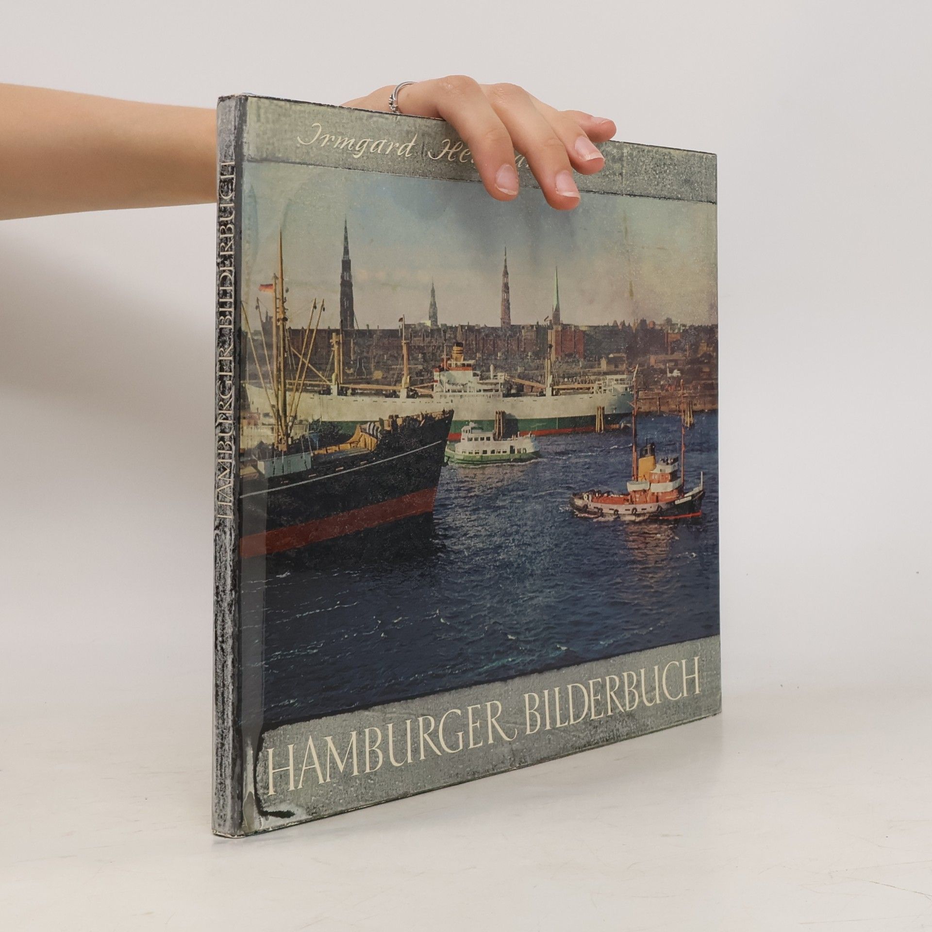 Kolektív autorov Hamburger Bilderbuch