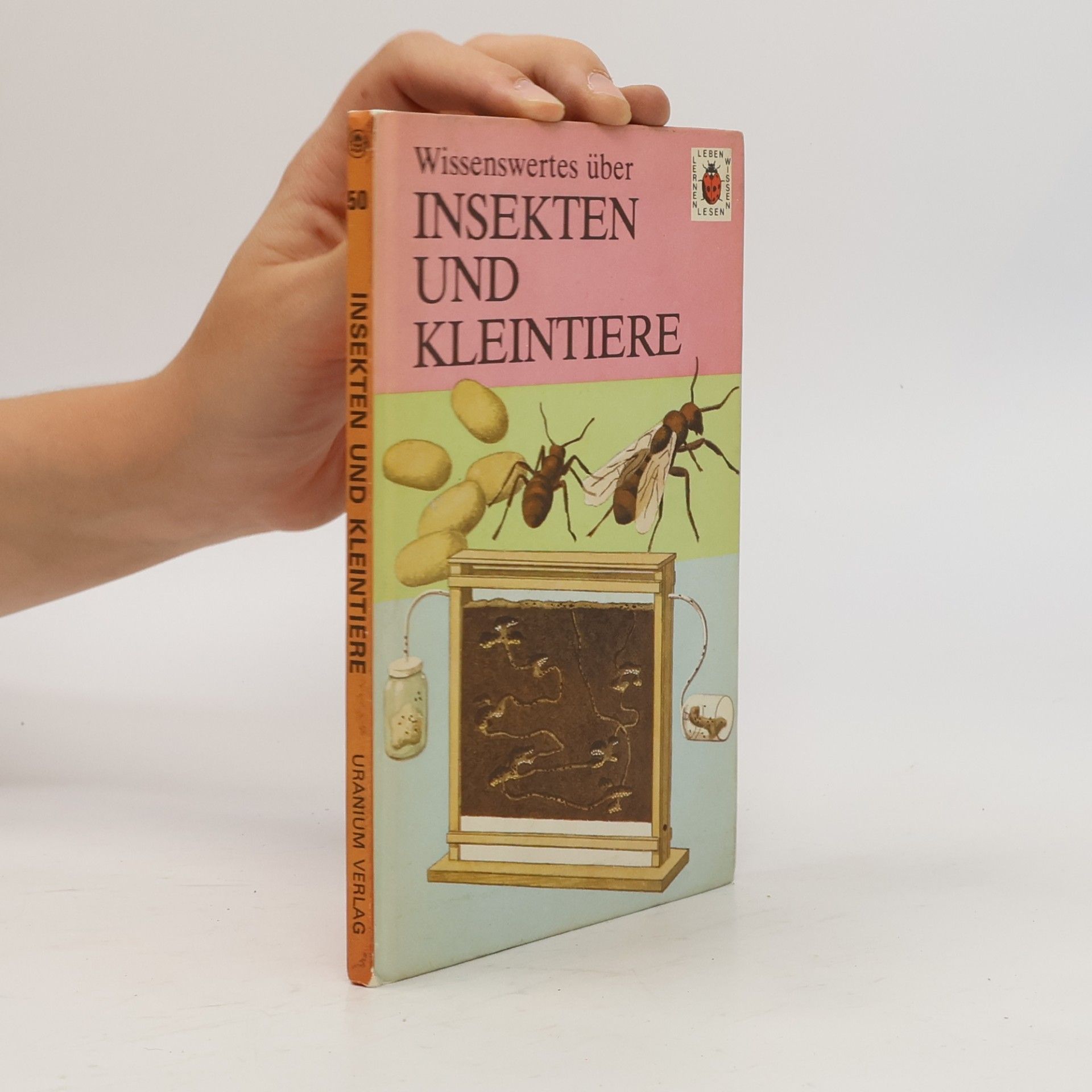 Autorenkollektiv Wissenswertes über Insekten und Kleintiere