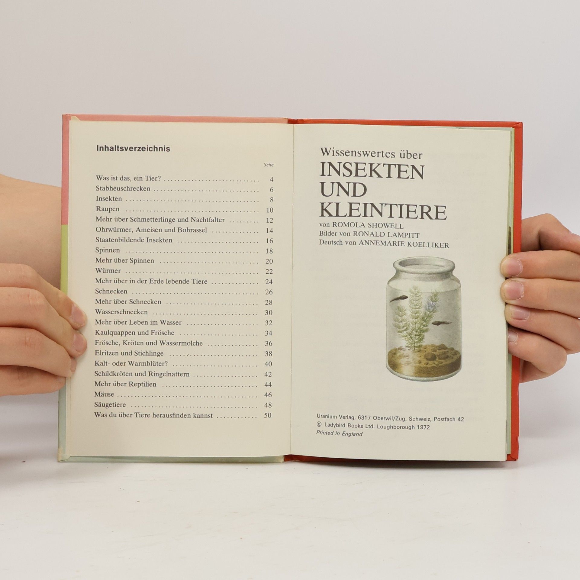 Autorenkollektiv Wissenswertes über Insekten und Kleintiere