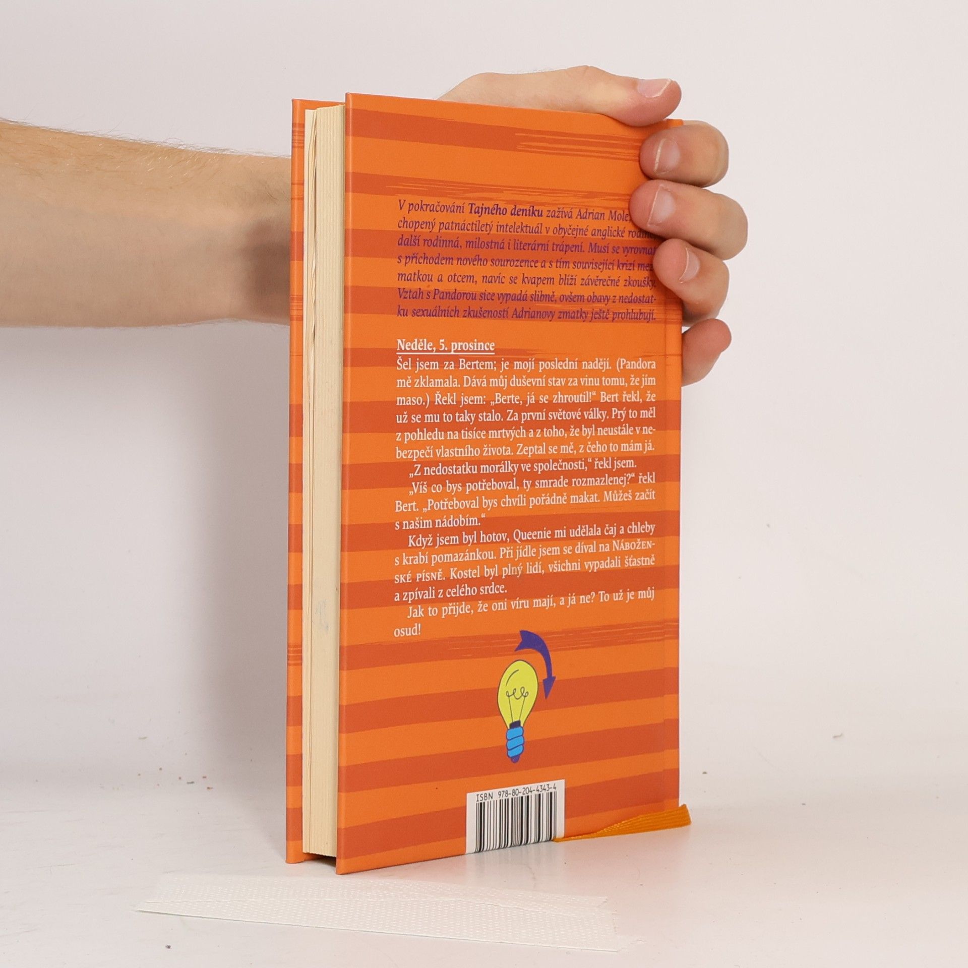 Sue Townsend Hořké zrání Adriana Molea