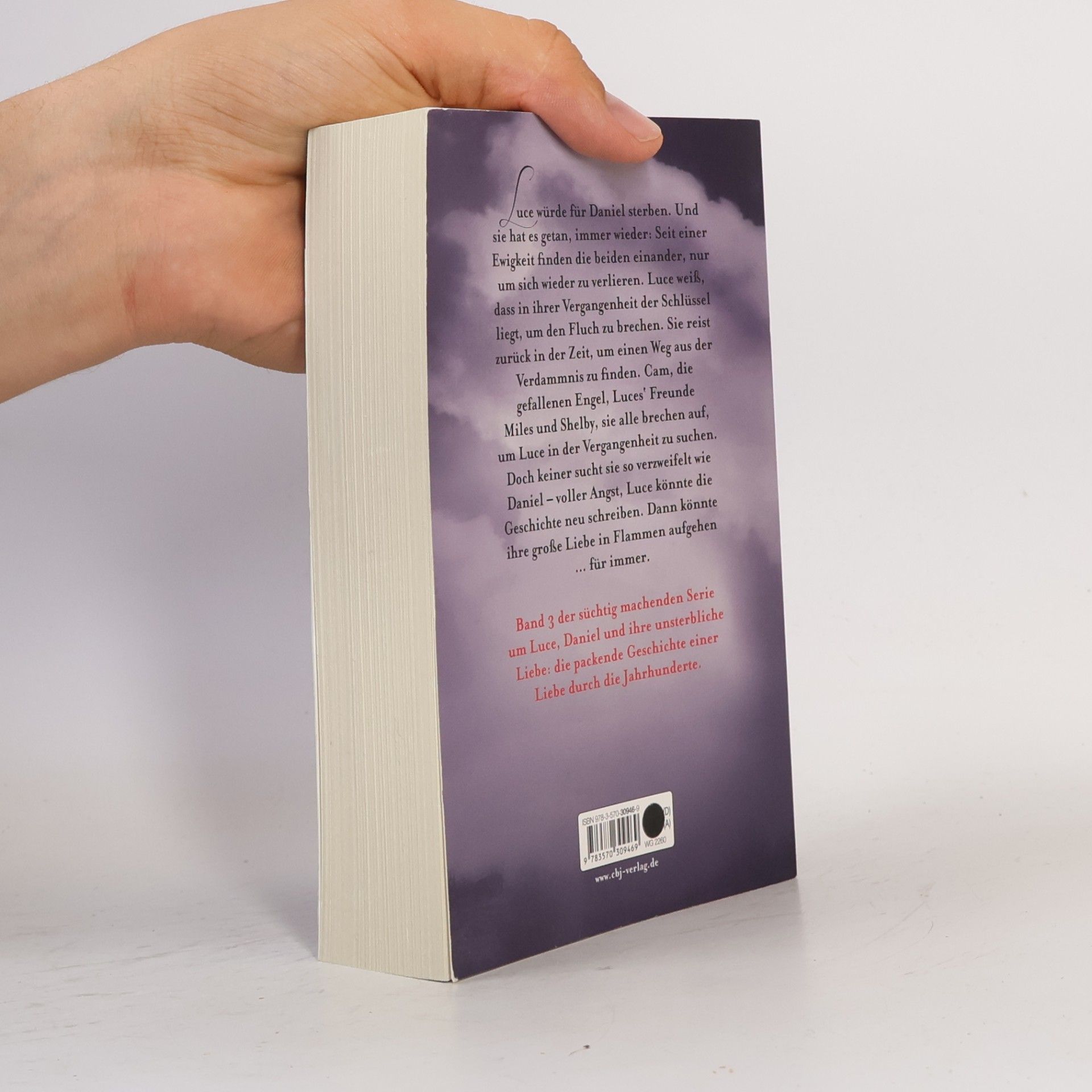 Lauren Kate Engelsflammen