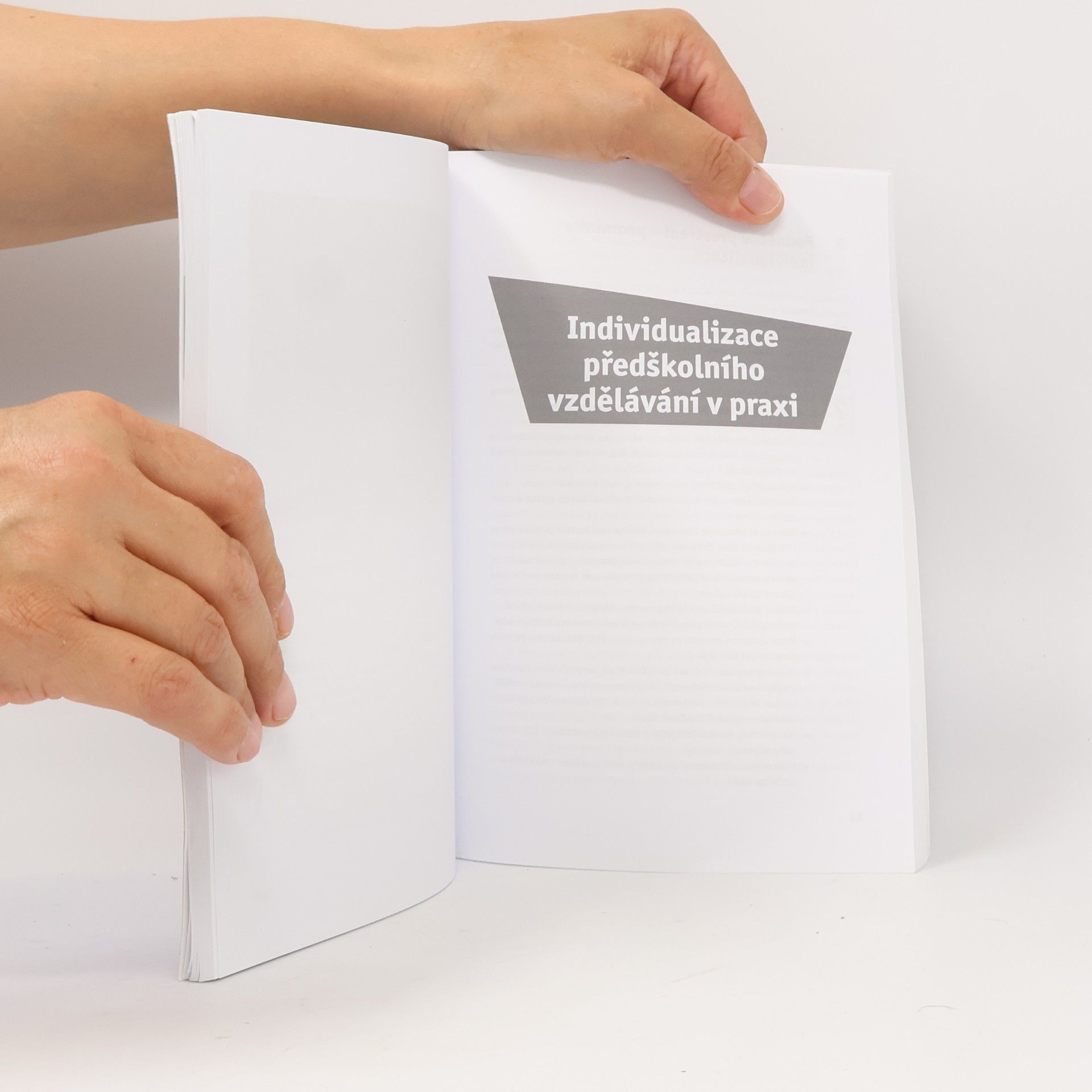 Zora Syslová Individualizace v mateřské škole
