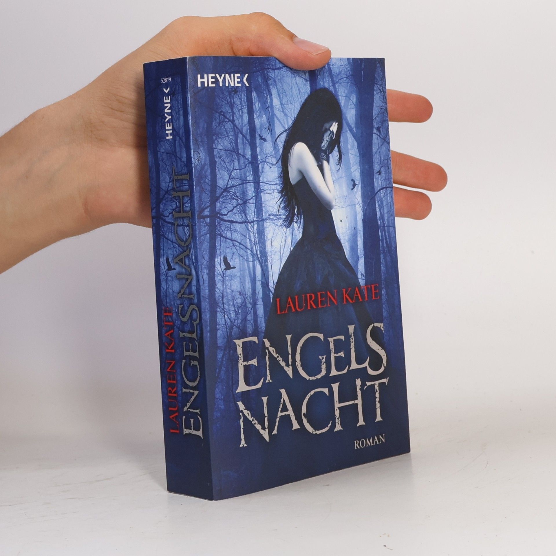 Lauren Kate Engels Nacht