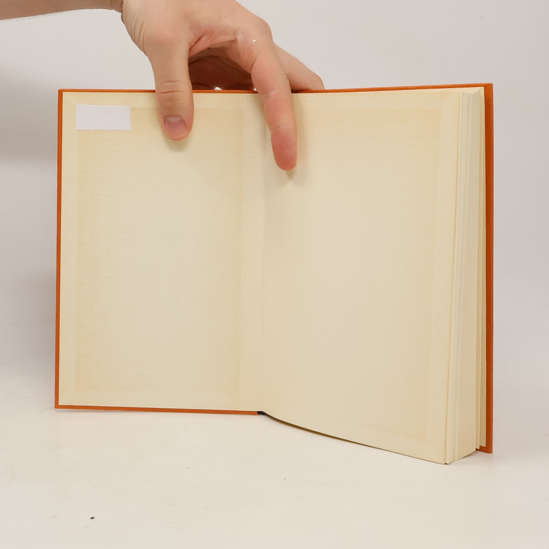 Jochen Schmidt Die Geschichte des Genie-Gedankens in der deutschen Literatur, Philosophie und Politik 1750 - 1945 1