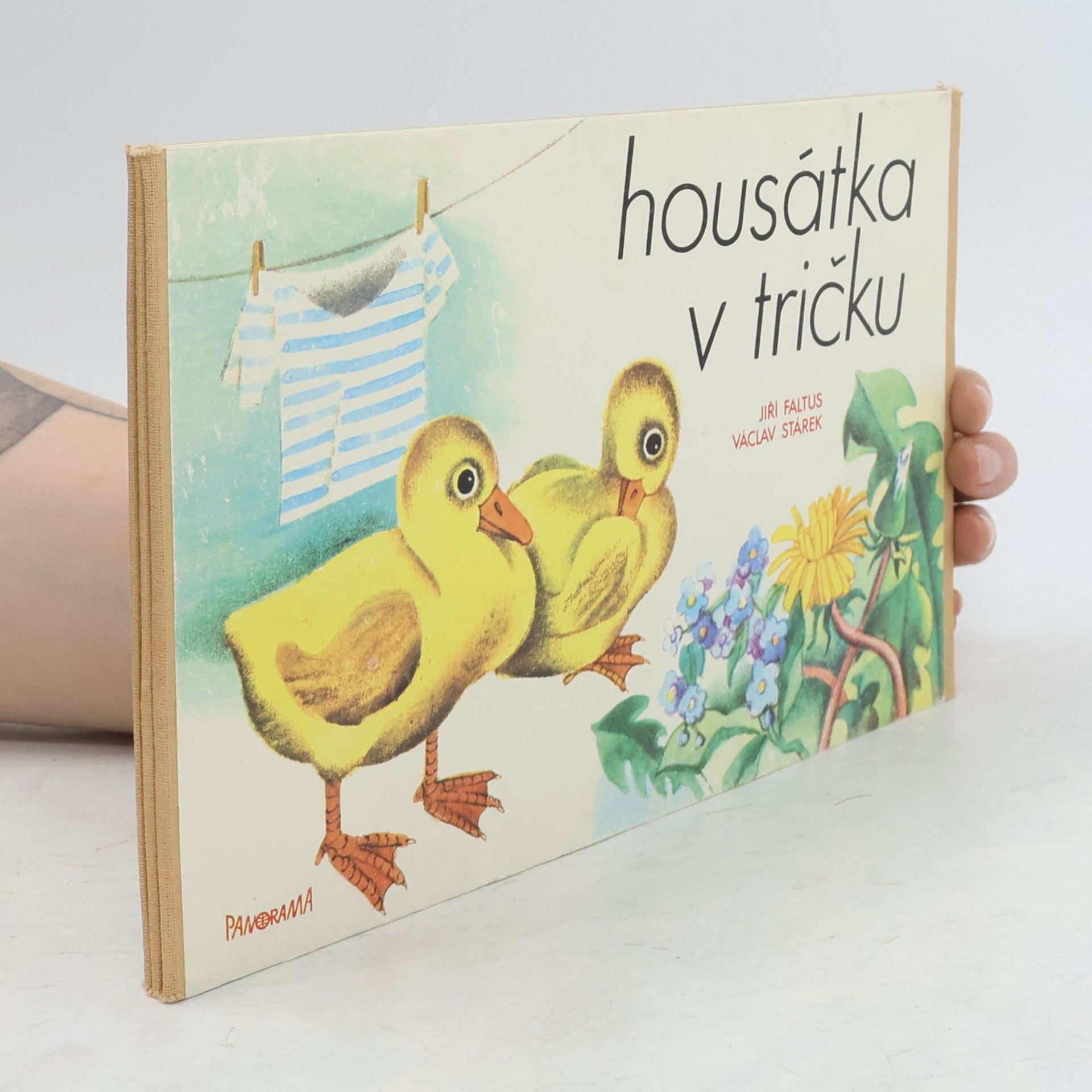 Jiří Faltus Housátka v tričku