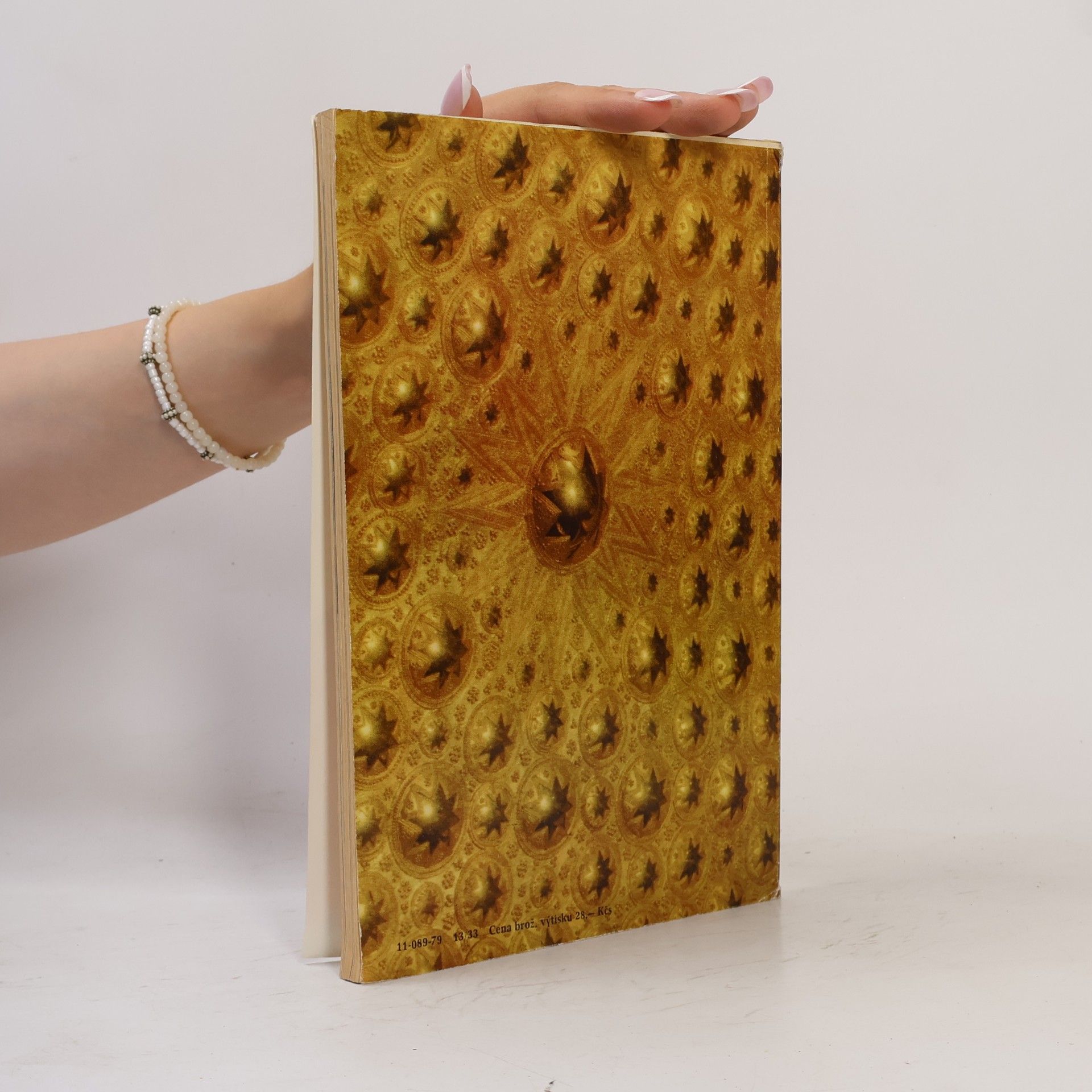 Alexej Pludek Český král Karel