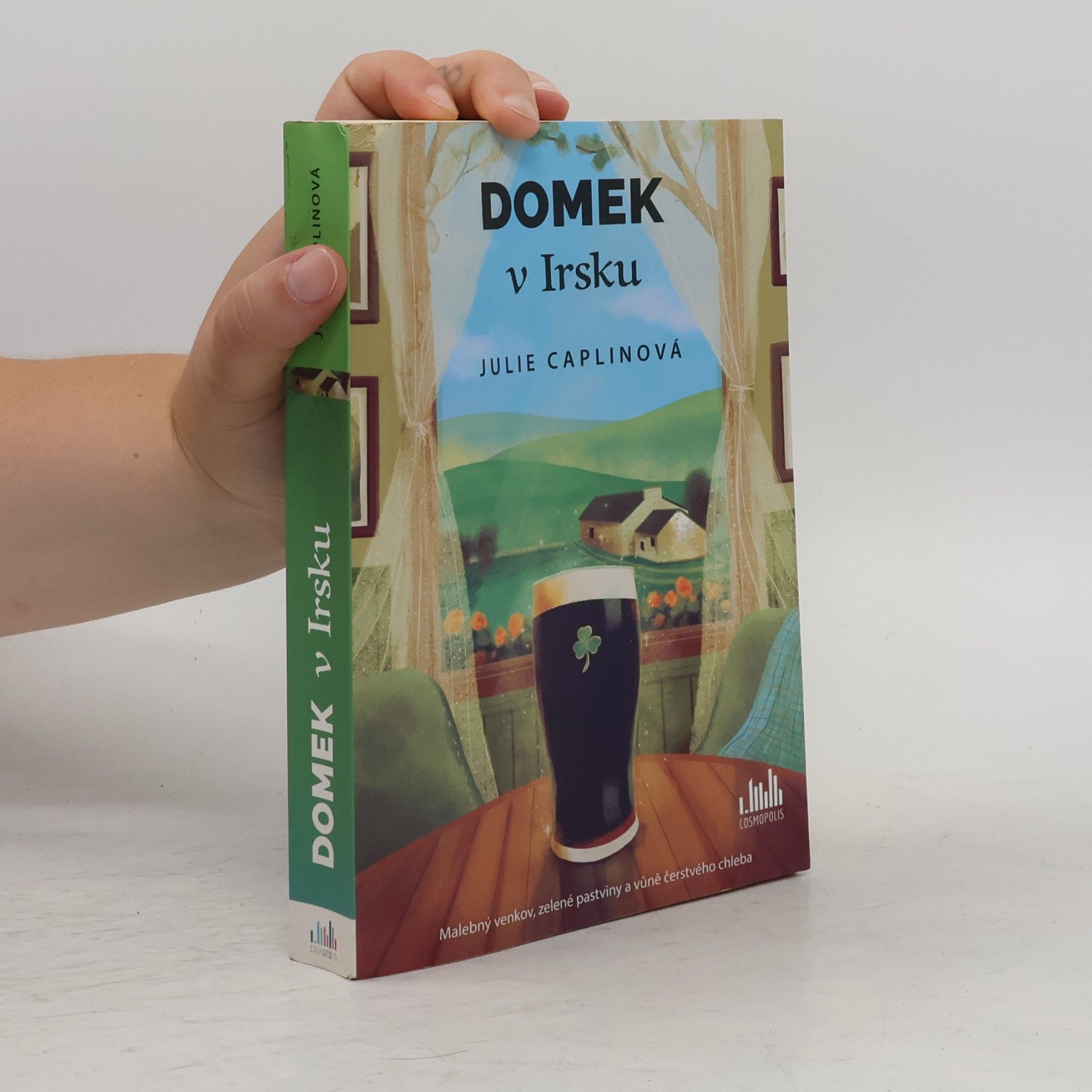 Julie Caplin Domek v Irsku
