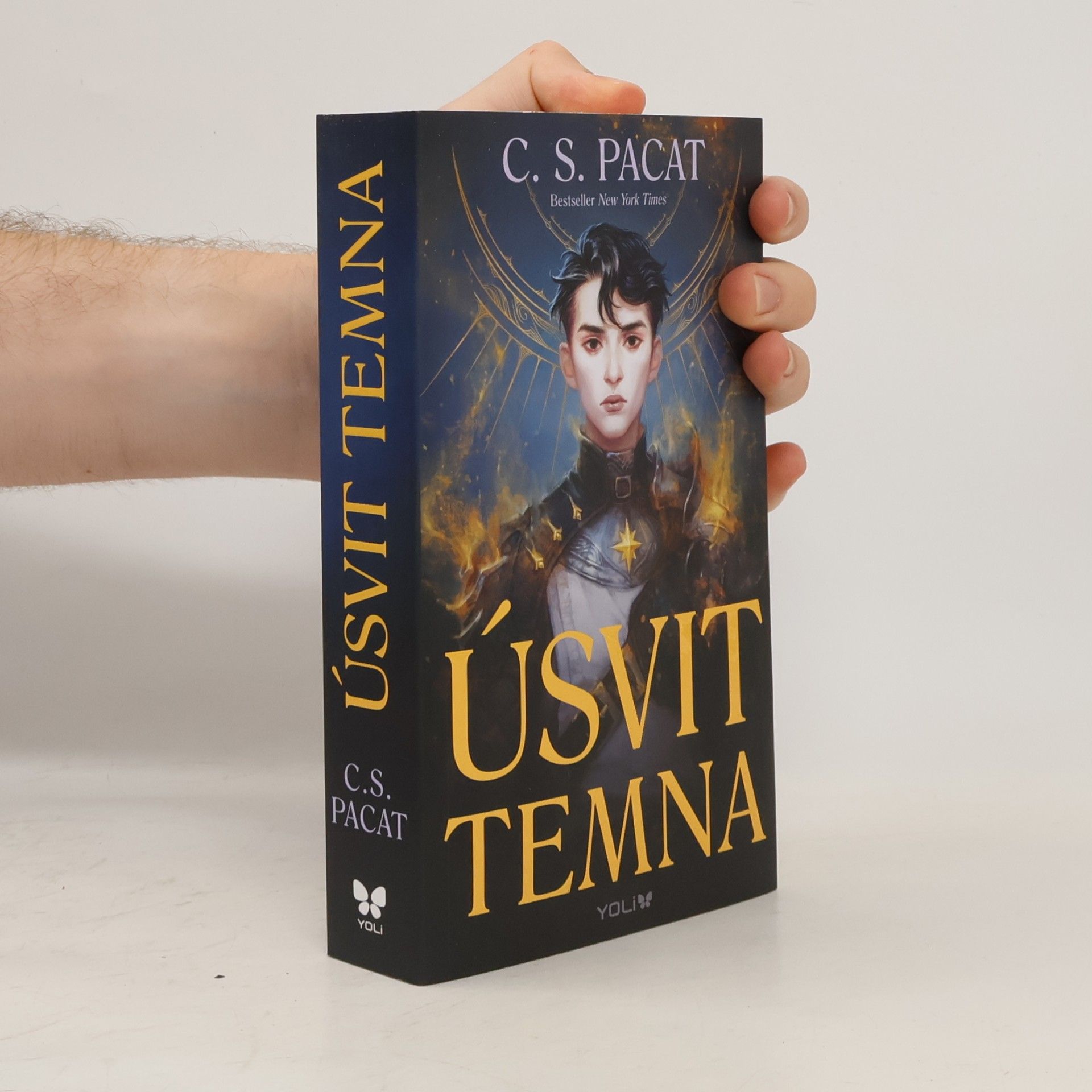 C. S. Pacat Úsvit temna