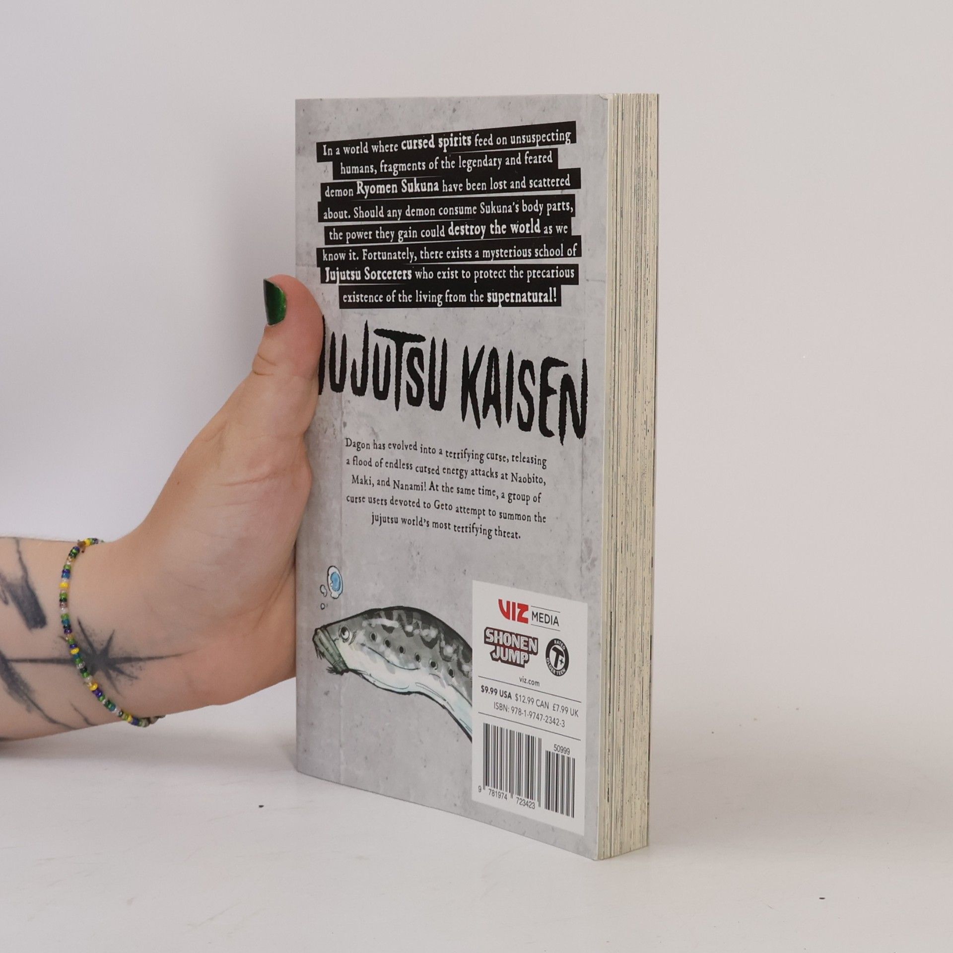 Gege Akutami Jujutsu Kaisen, Volume 13