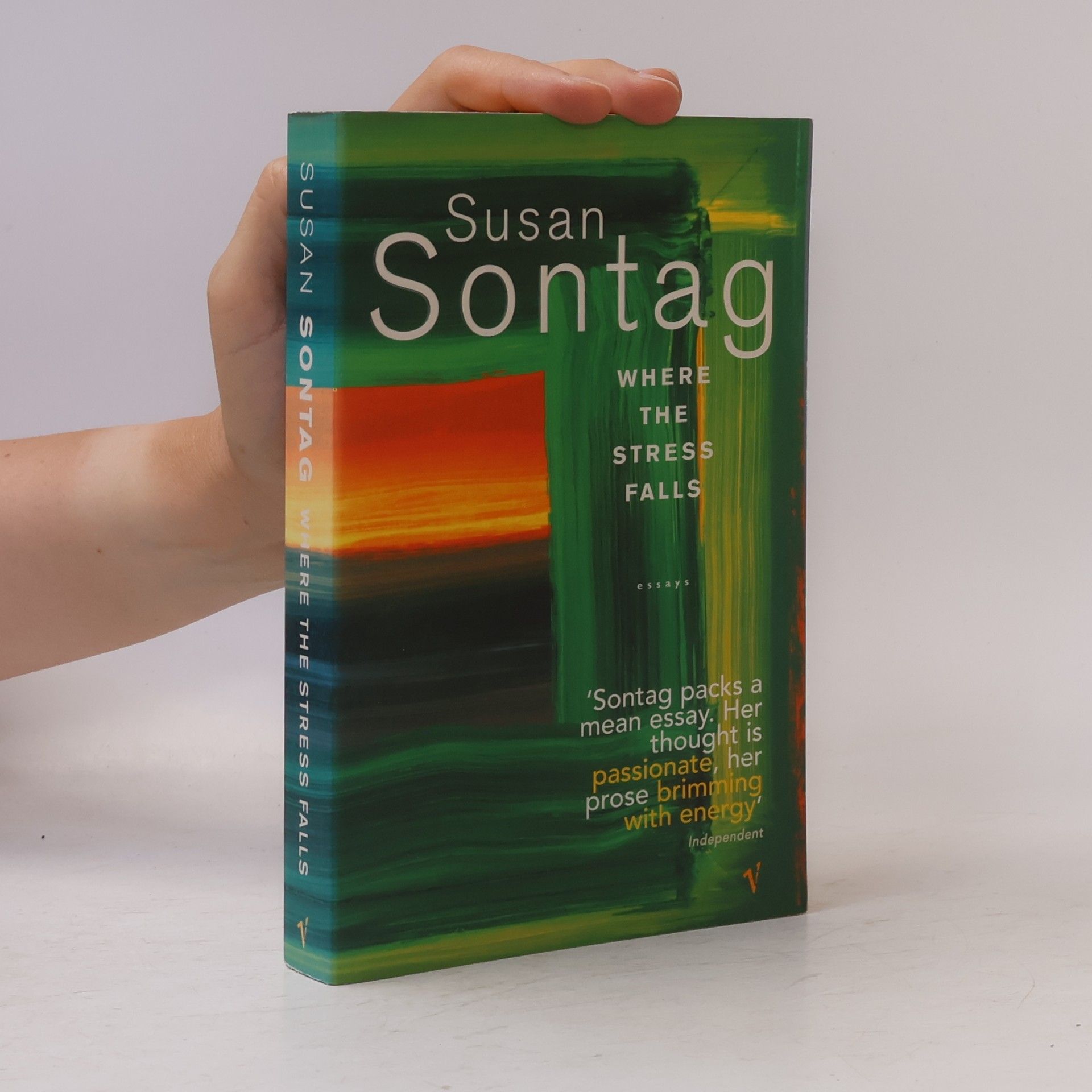 Susan Sontag Where the Stress Falls