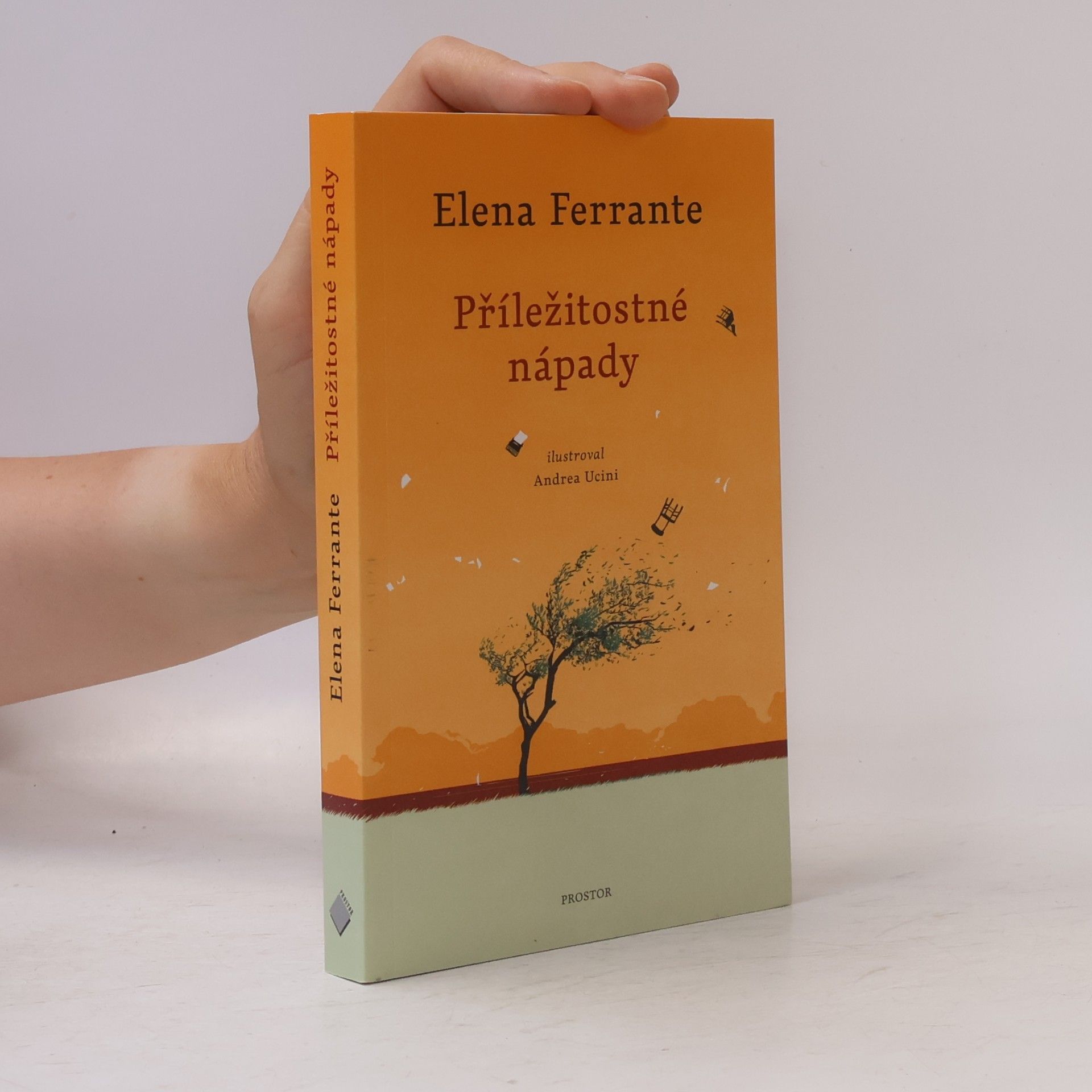 Elena Ferrante Příležitostné nápady