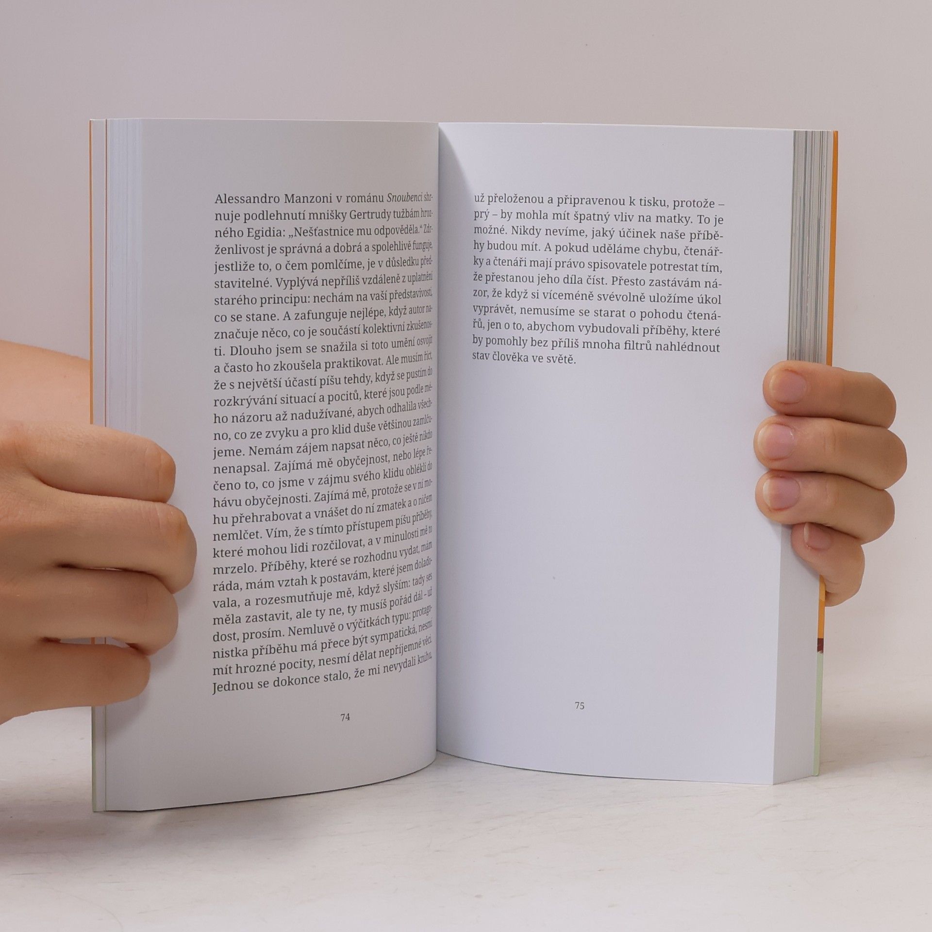 Elena Ferrante Příležitostné nápady