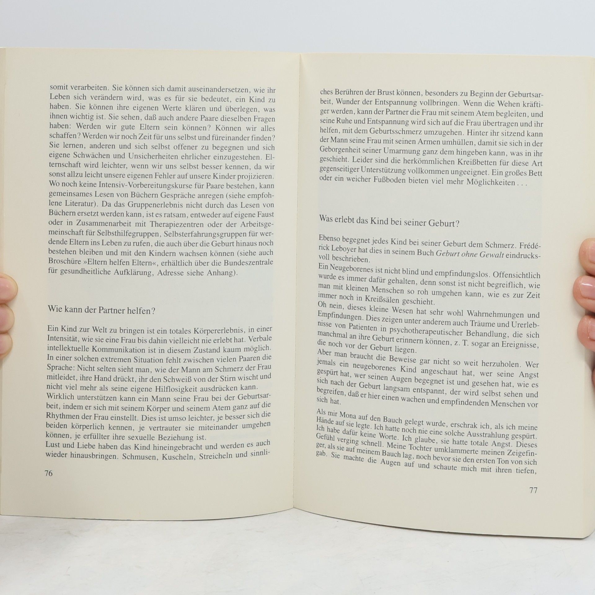 Hanny Lothrop Das Stillbuch