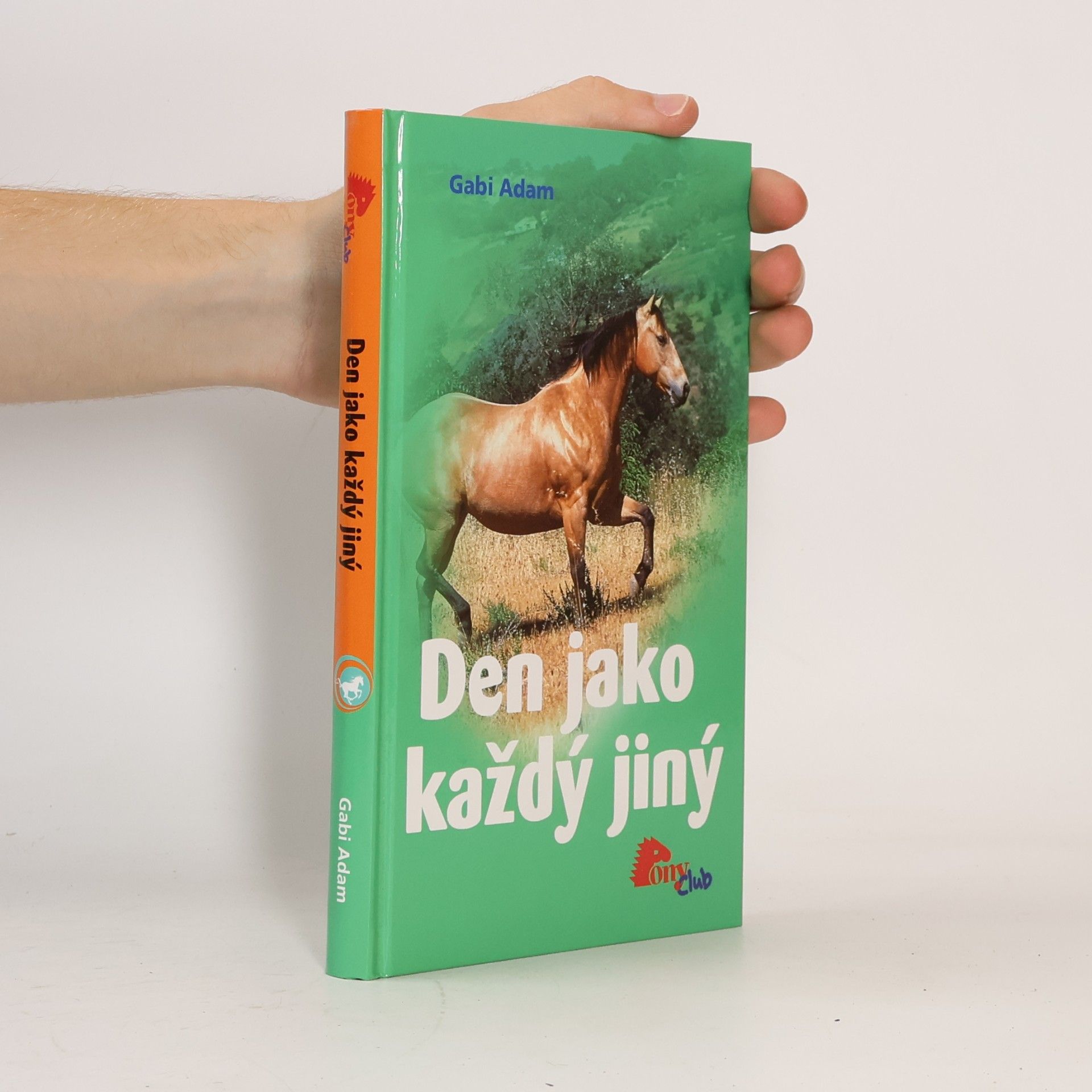 Gabi Adam Den jako každý jiný