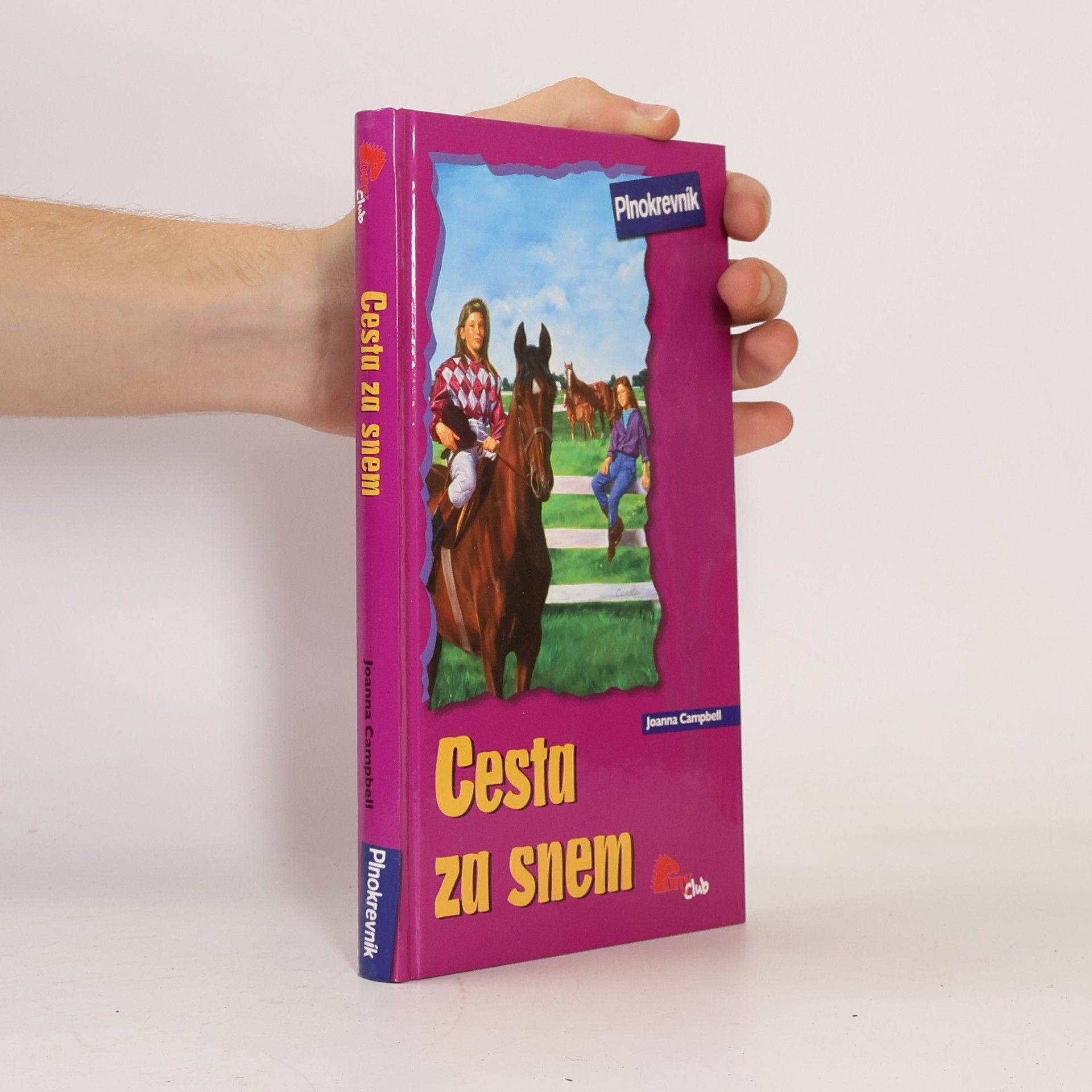 Joanna Campbell Cesta za snem