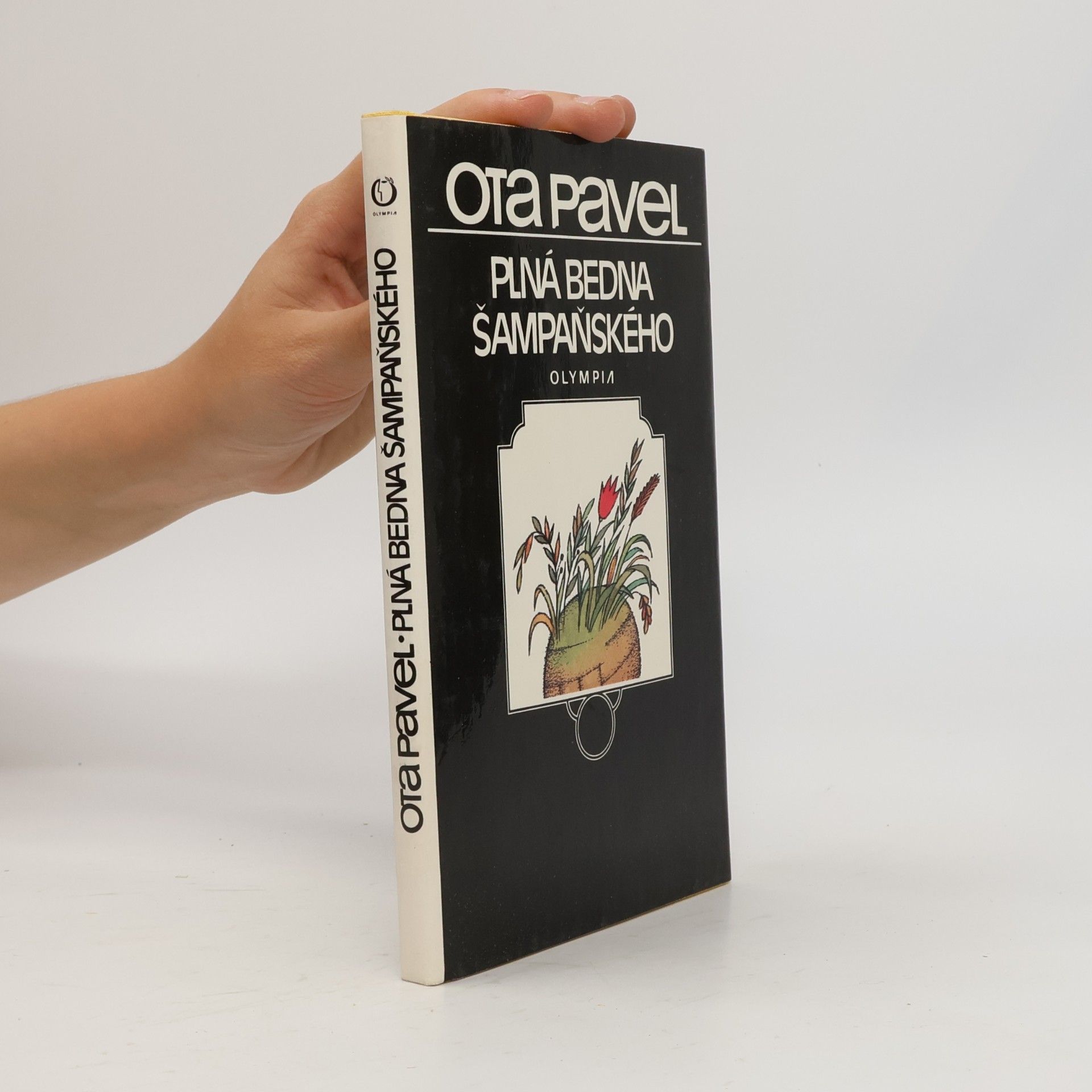 Ota Pavel Plná bedna šampaňského