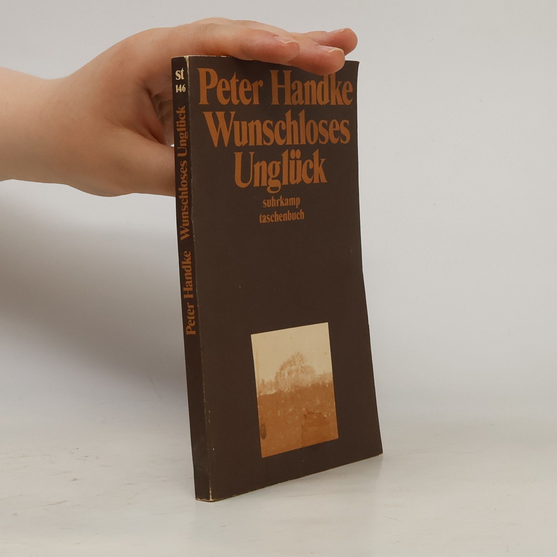 Peter Handke Wunschloses Unglück