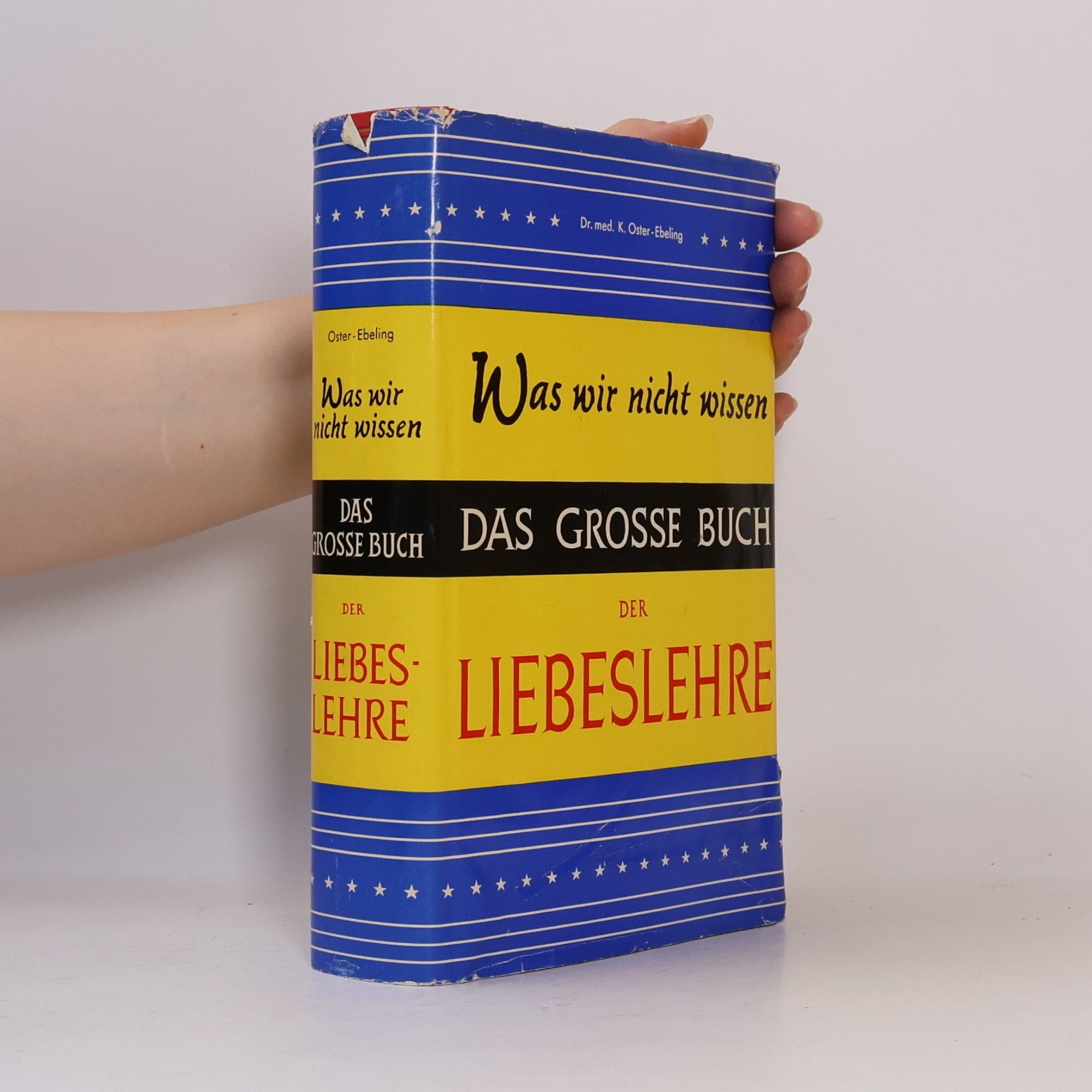 Kolektív autorov Das Grosse Buch der Liebeslehre