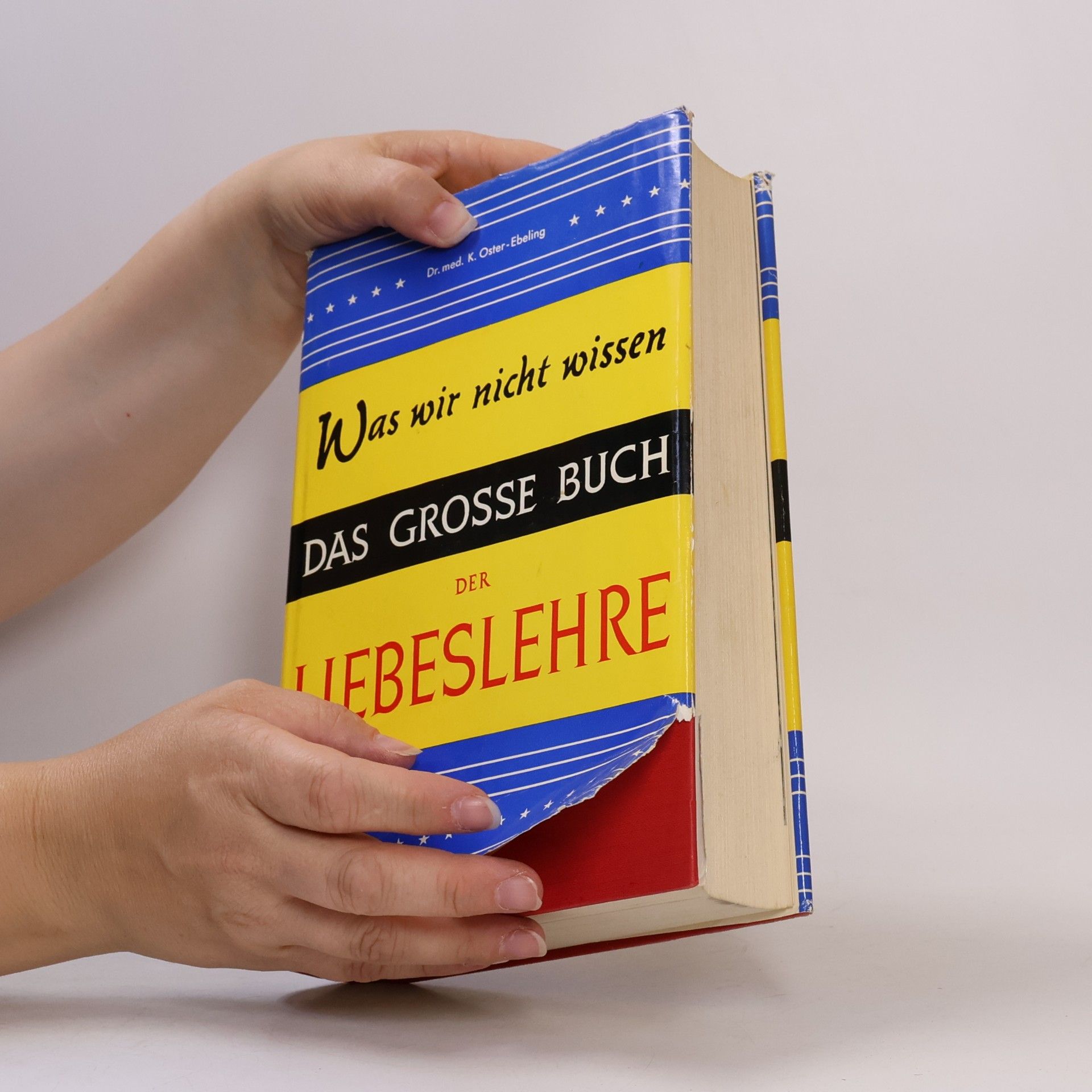 Kolektív autorov Das Grosse Buch der Liebeslehre