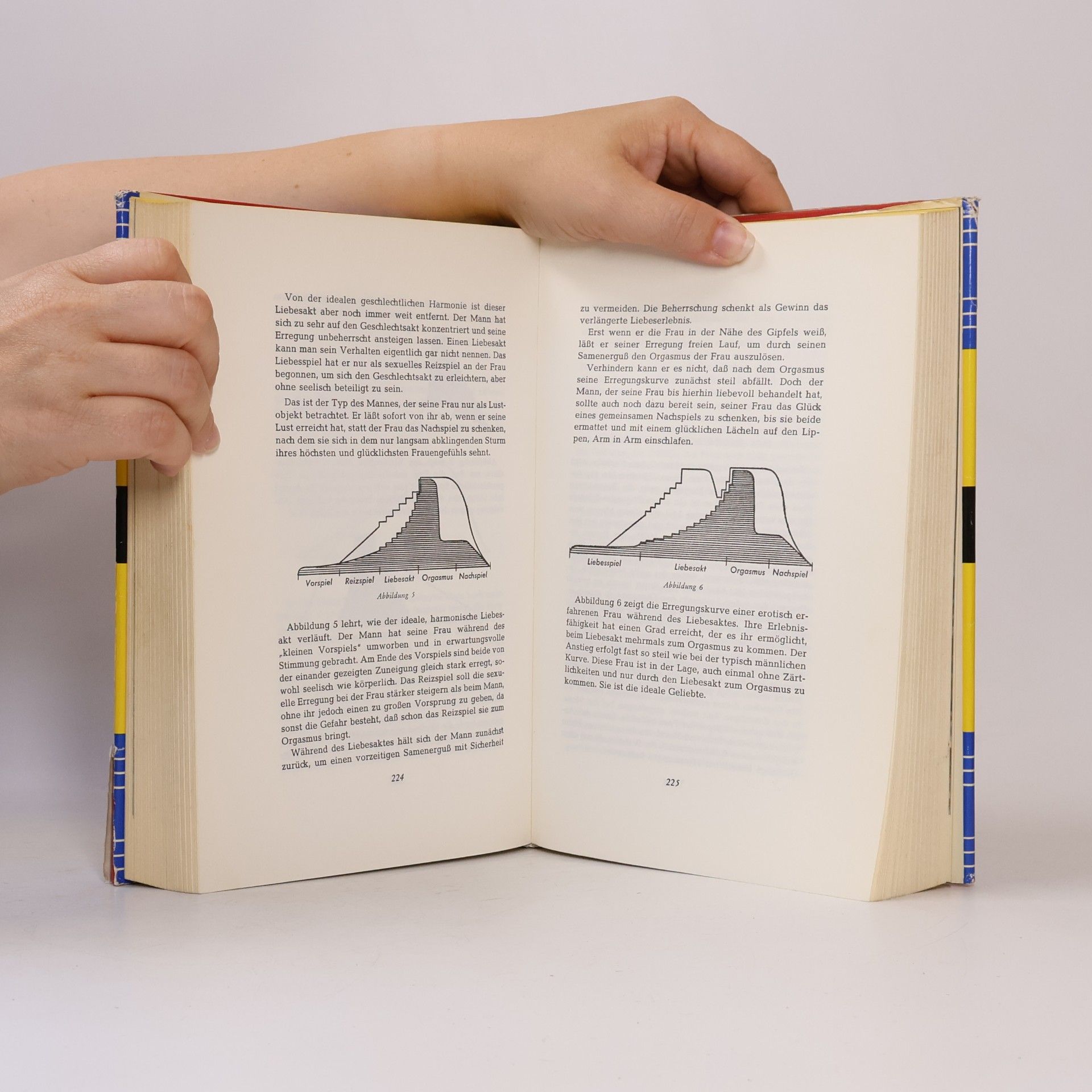 Kolektív autorov Das Grosse Buch der Liebeslehre