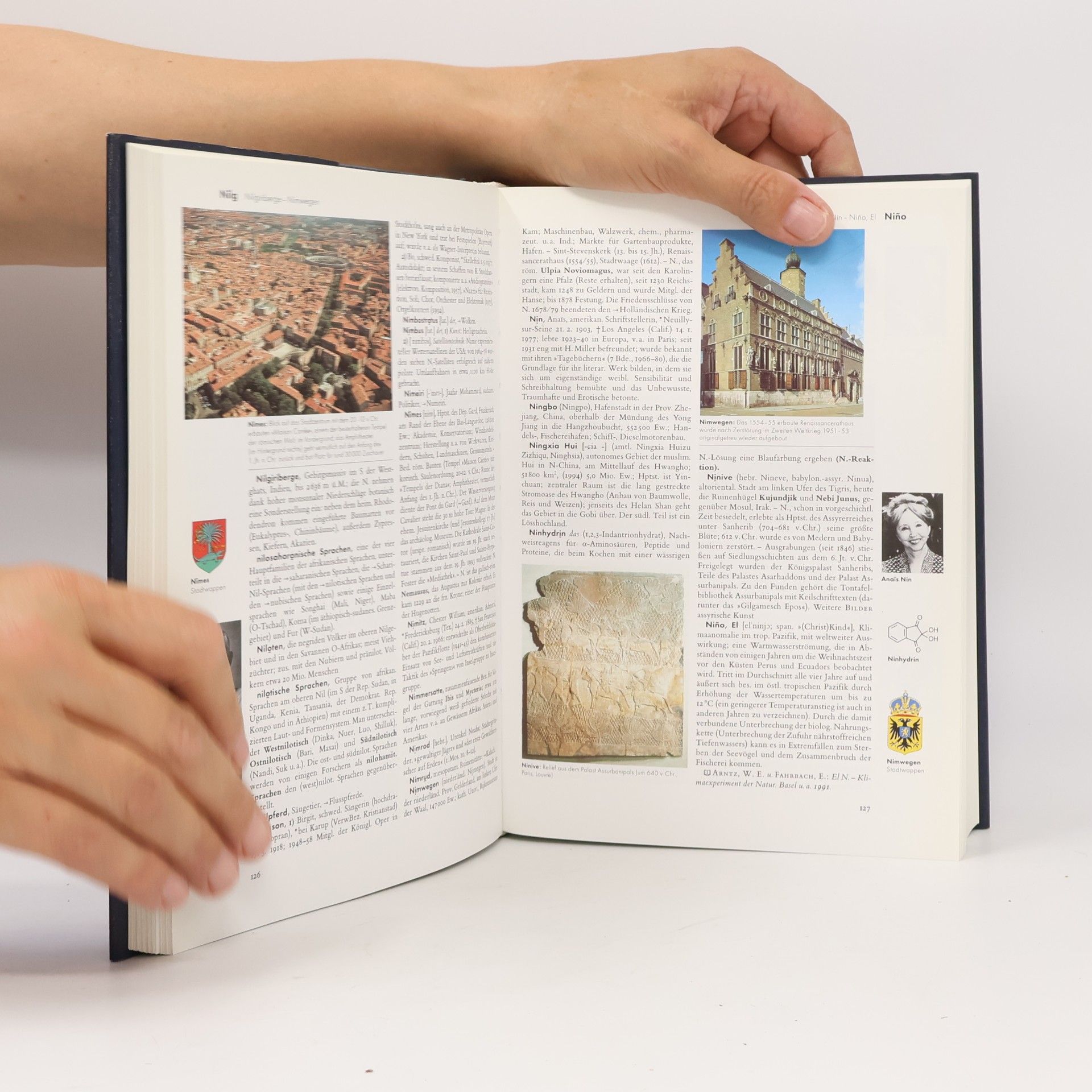 Kolektív autorov Der Brockhaus in Fünfzehn Bänden 10. Nas-Pia