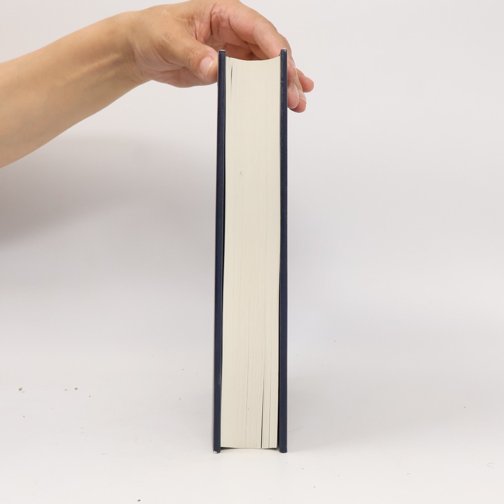 Autorenkollektiv Der Brockhaus in Fünfzehn Bänden 6 (Gu-Ir)