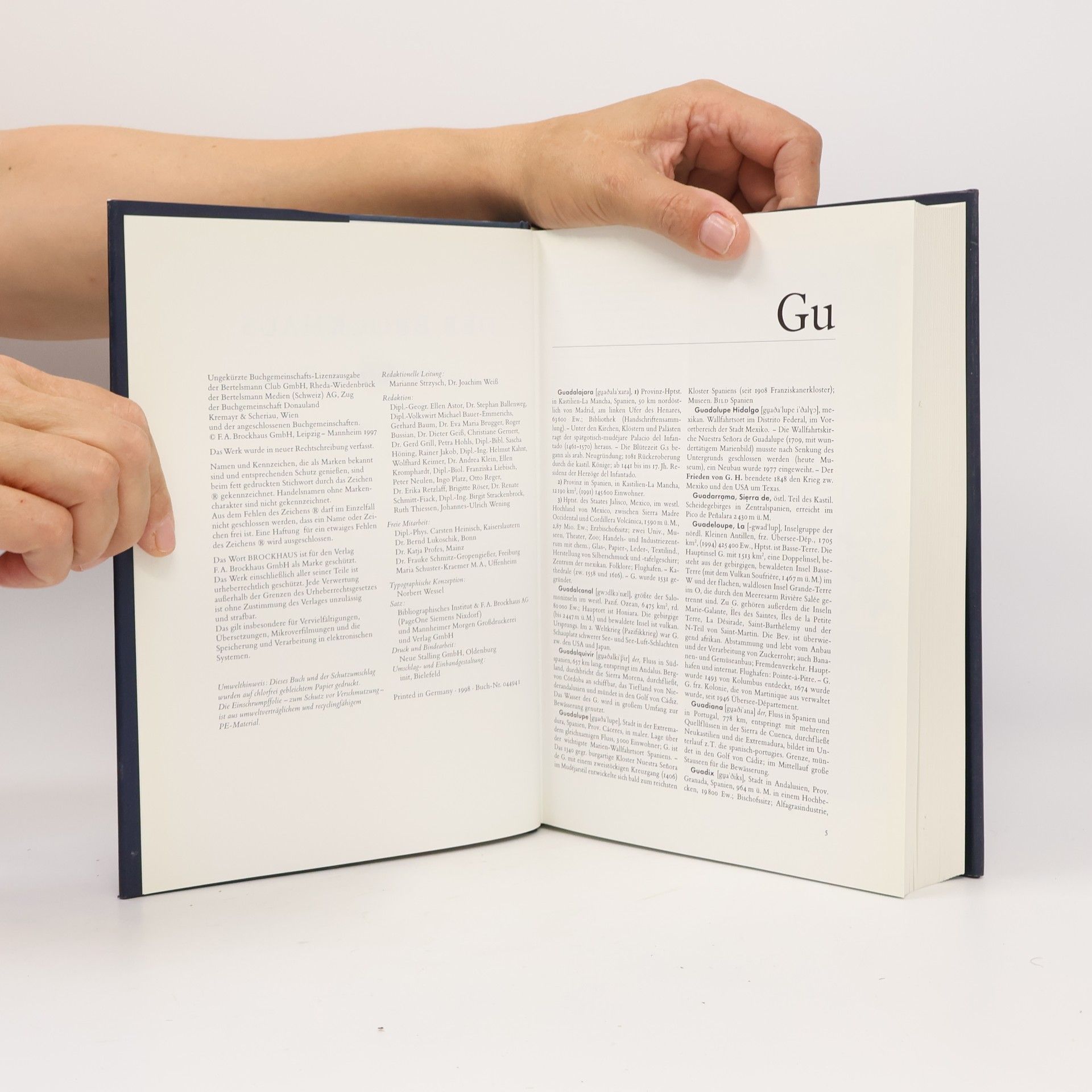 Autorenkollektiv Der Brockhaus in Fünfzehn Bänden 6 (Gu-Ir)