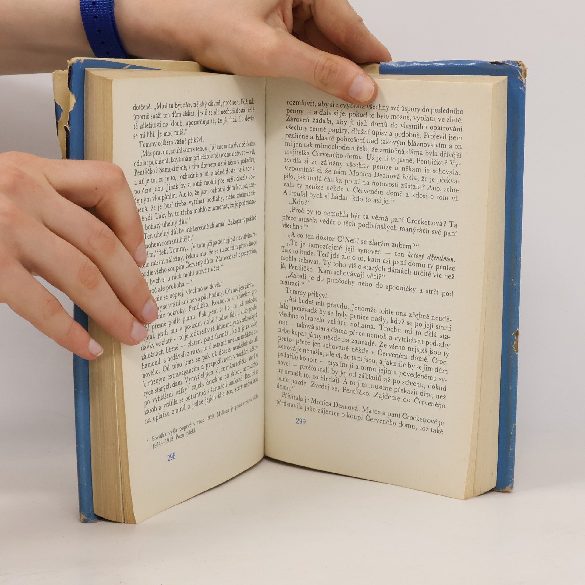 Agatha Christie Muž v mlze