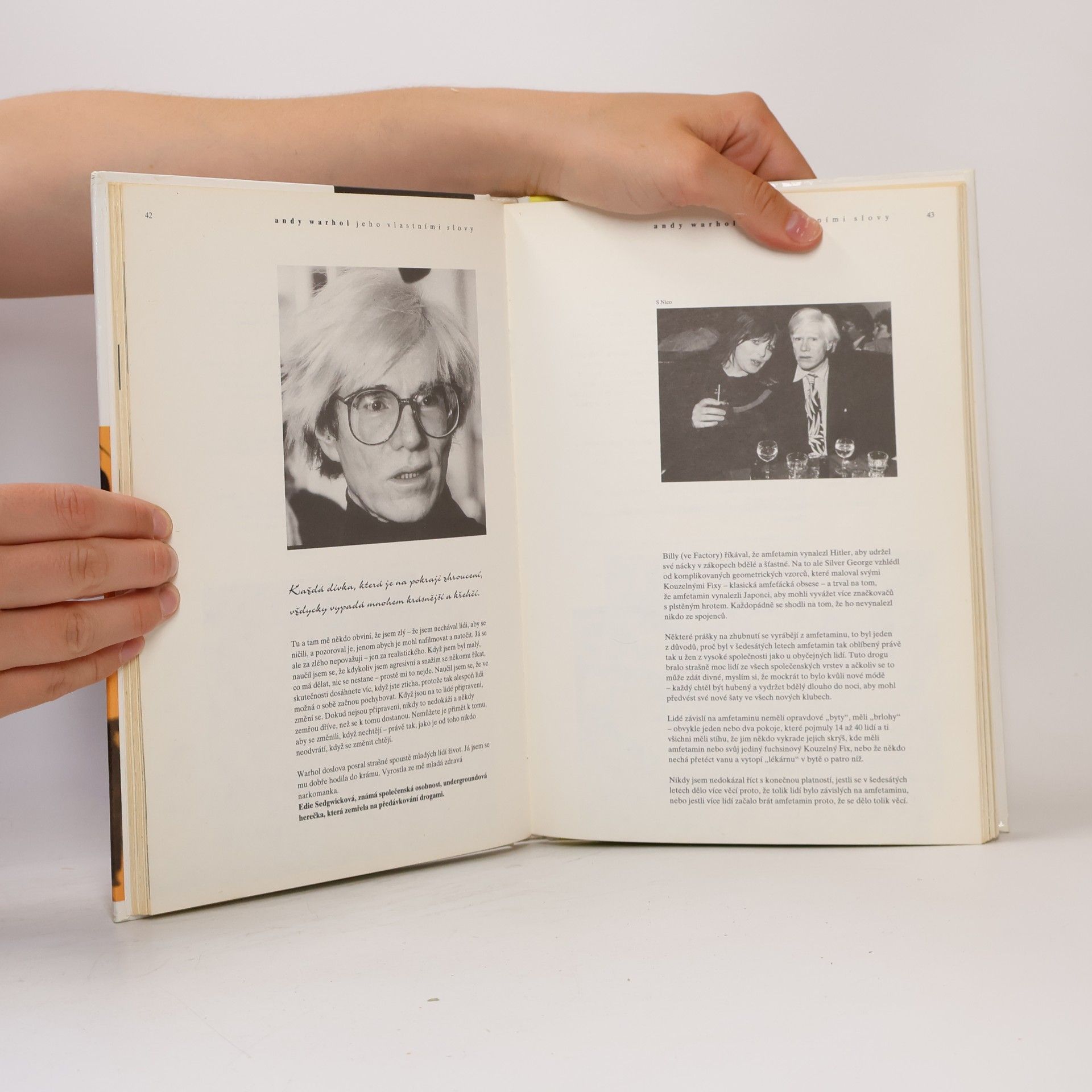 Tomáš Míka Andy Warhol: Jeho vlastními slovy
