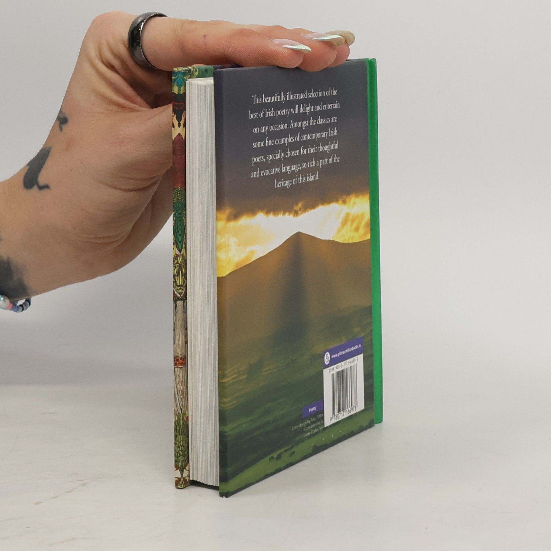 Fiona Biggs Pocket. Irish Poetry