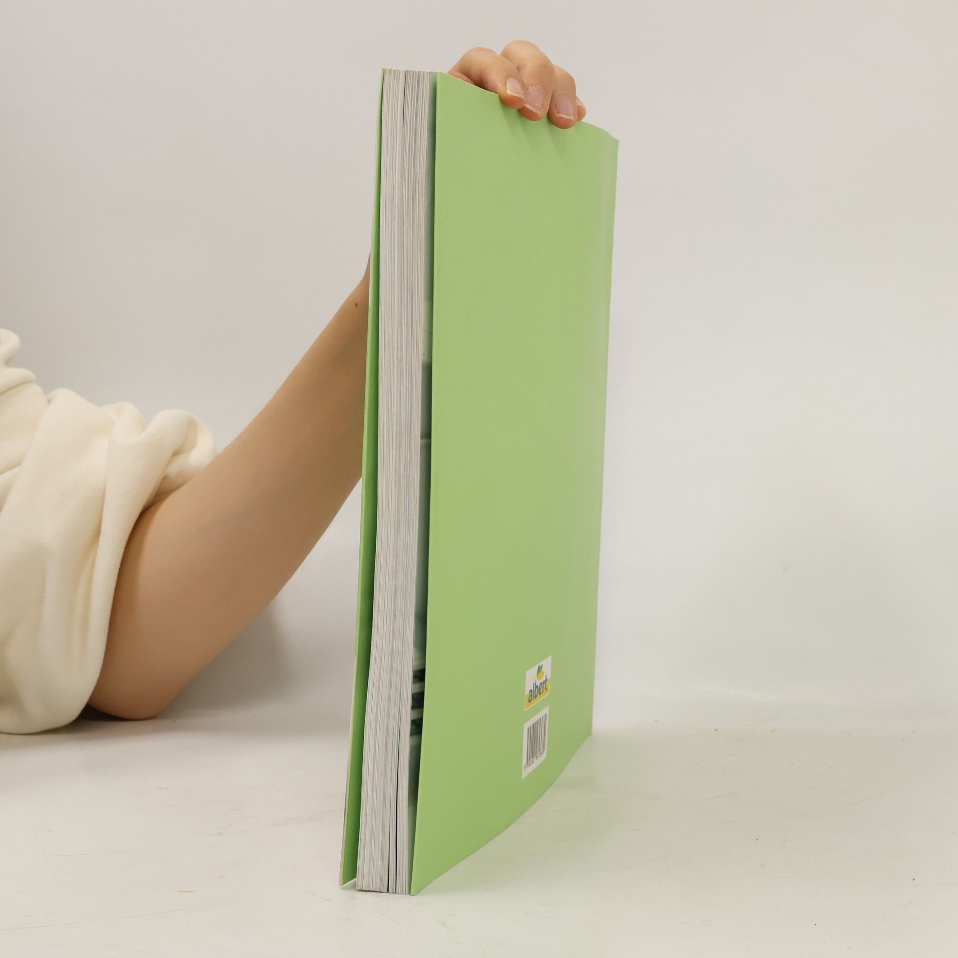 Collectif d'auteurs Albert v kuchyni. Od jara do zimy