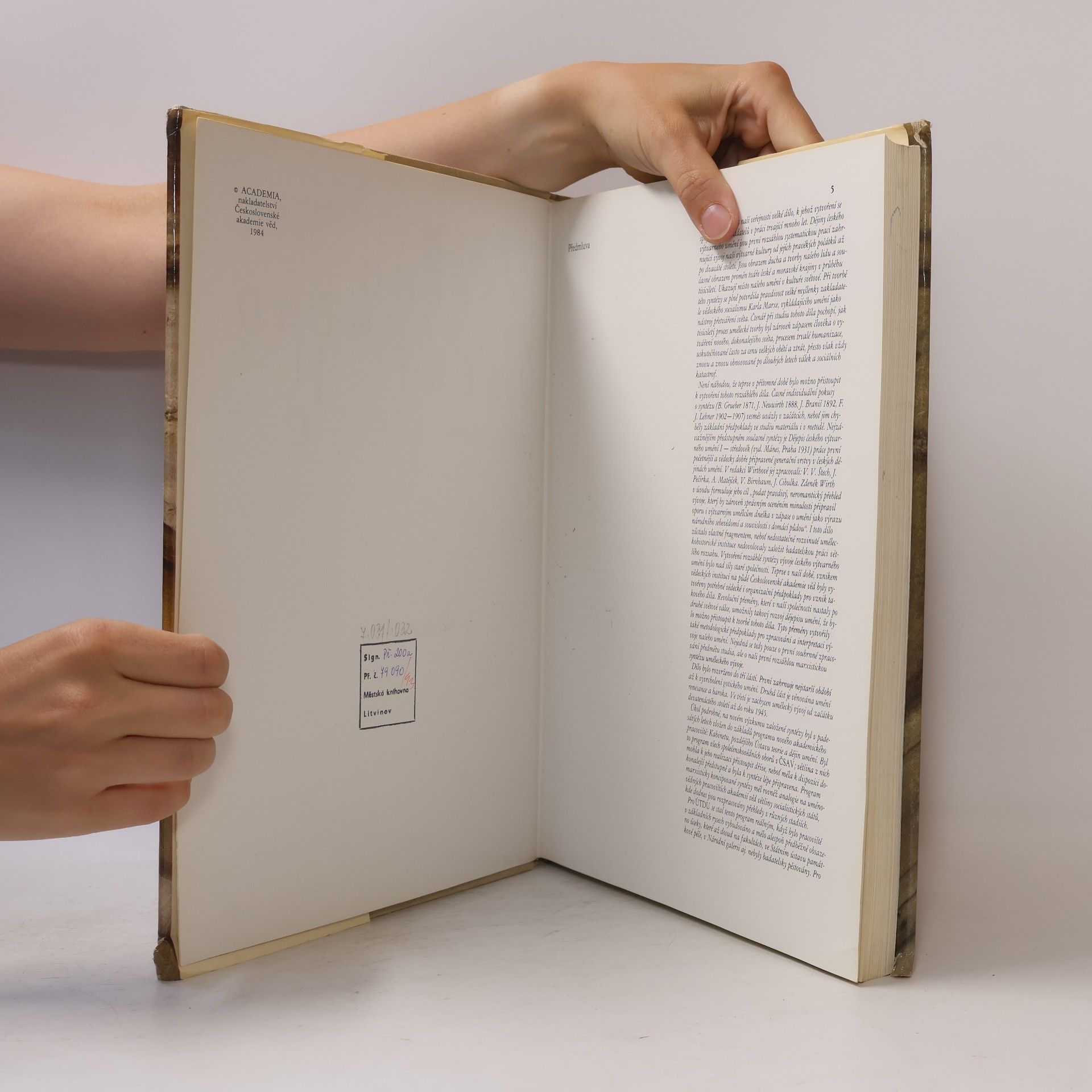 Autorenkollektiv Dějiny českého výtvarného umění od počátku do konce středověku I/1