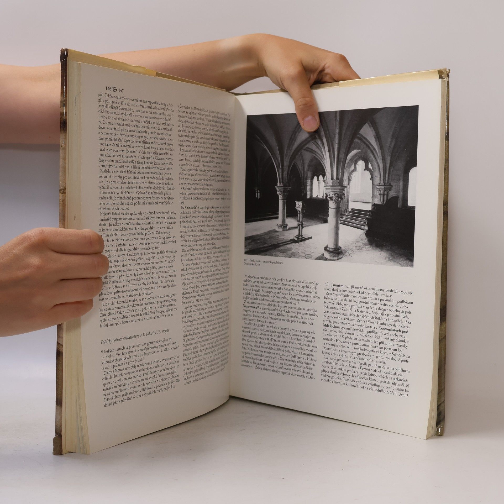 Autorenkollektiv Dějiny českého výtvarného umění od počátku do konce středověku I/1