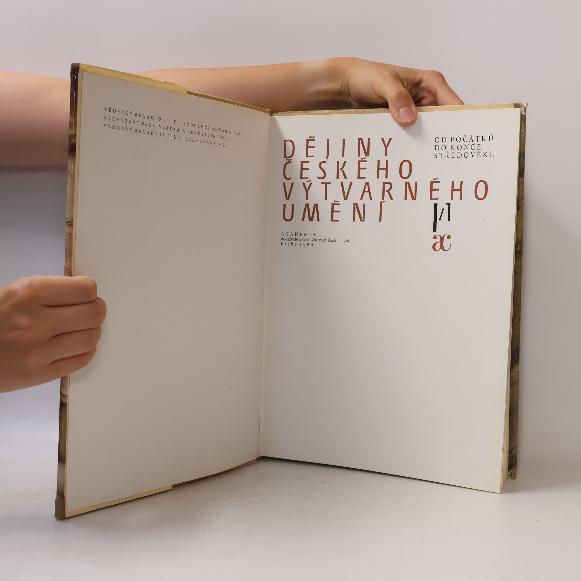 Autorenkollektiv Dějiny českého výtvarného umění od počátku do konce středověku I/1