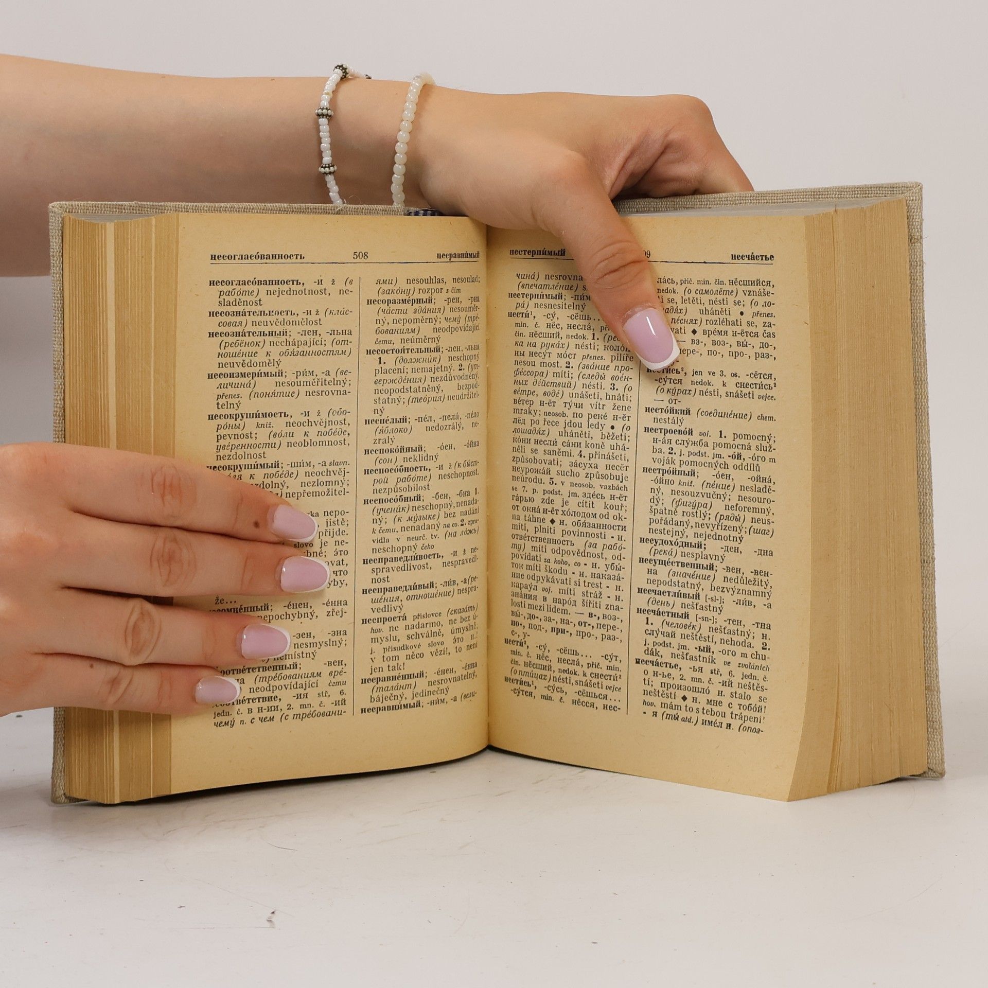 Autorenkollektiv Školní rusko-český slovník