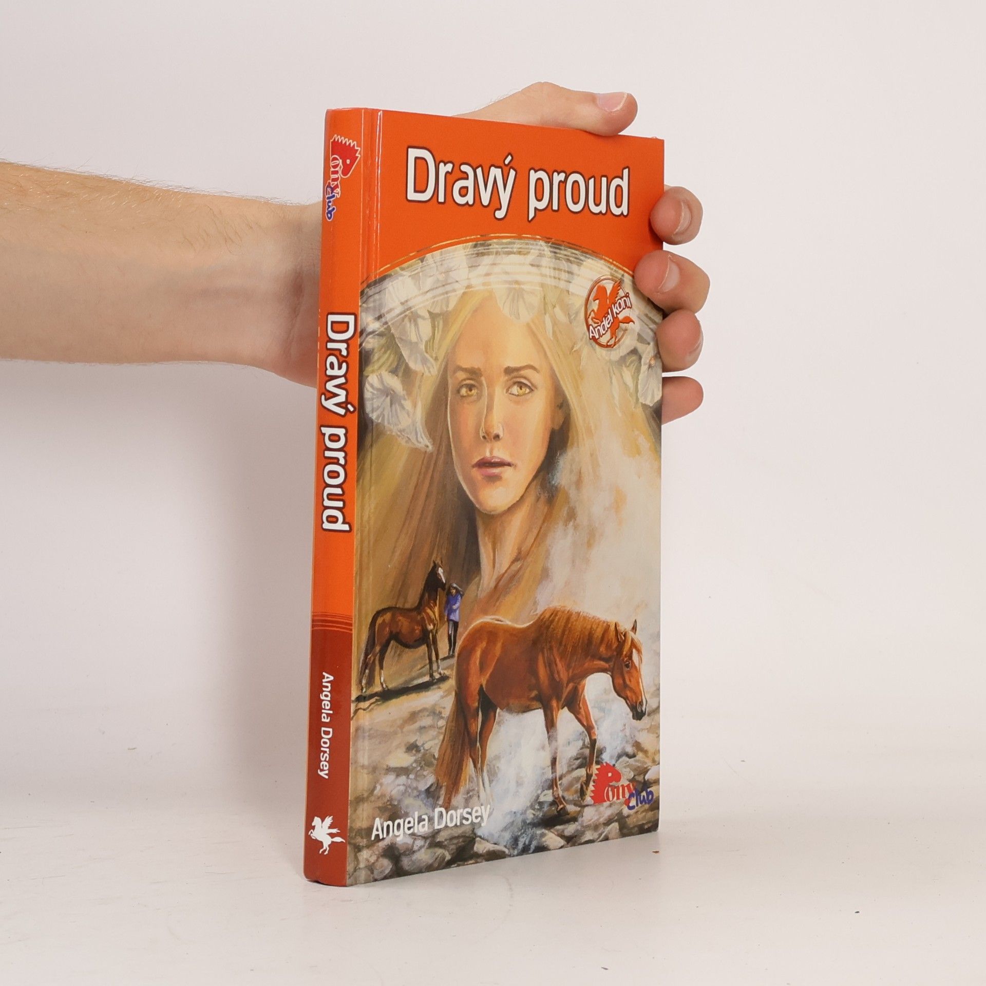 Angela Dorsey Dravý proud