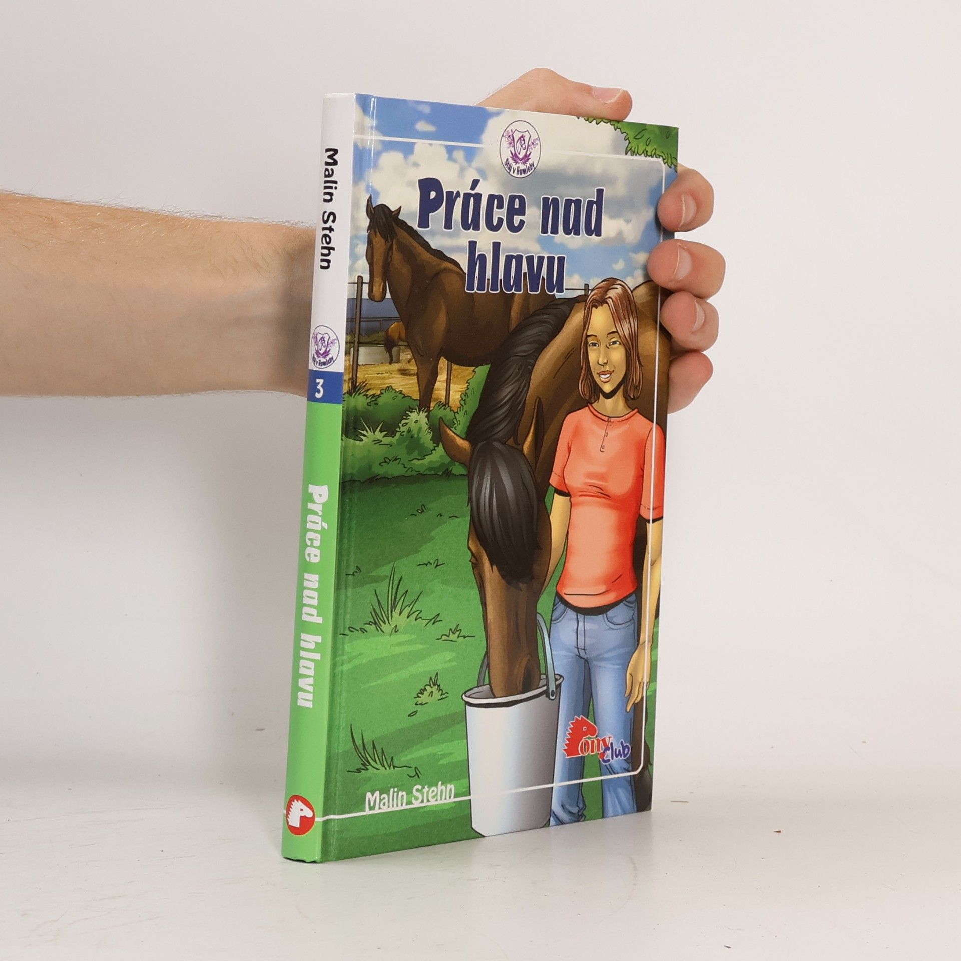 Malin Stehn Práce nad hlavu
