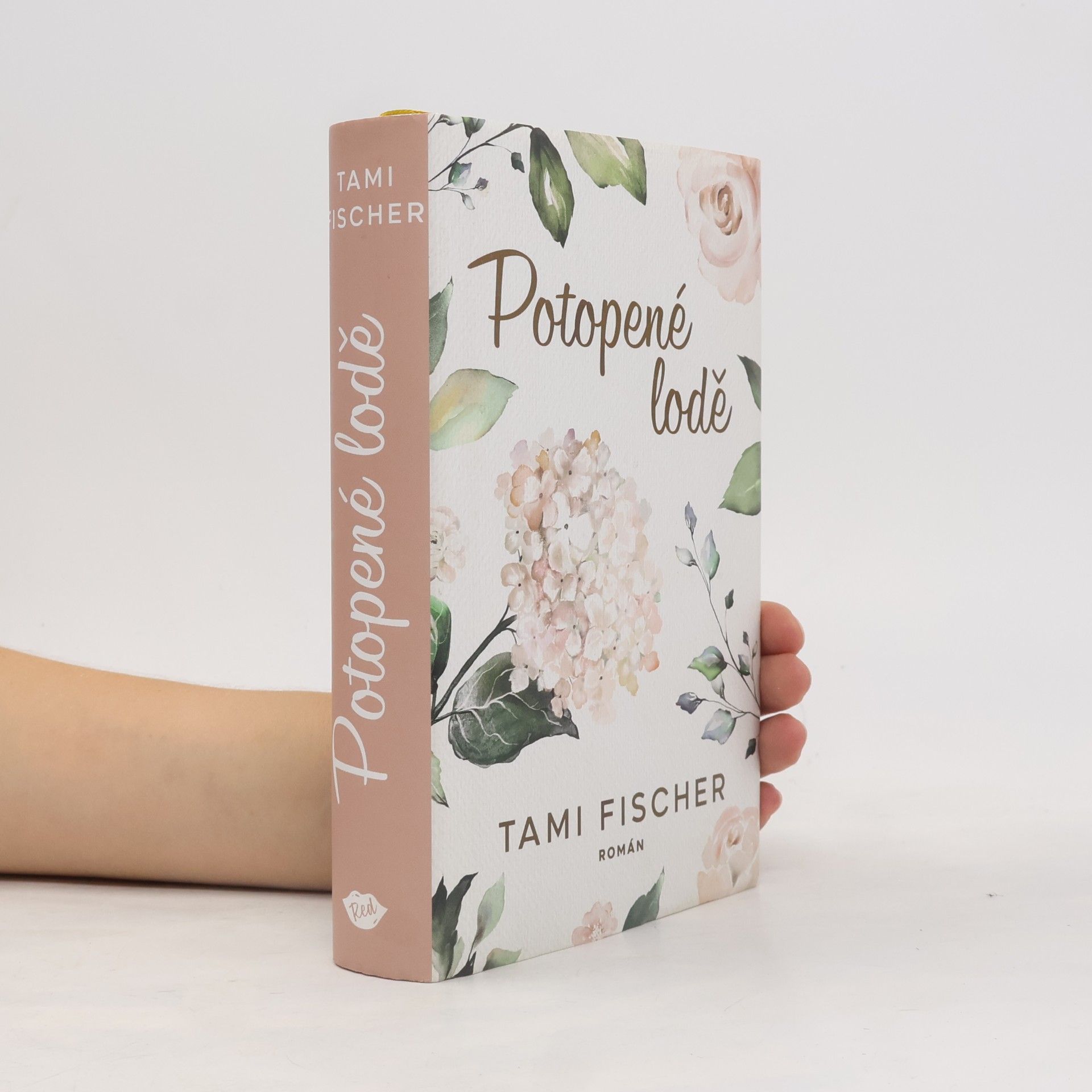 Tami Fischer Potopené lodě