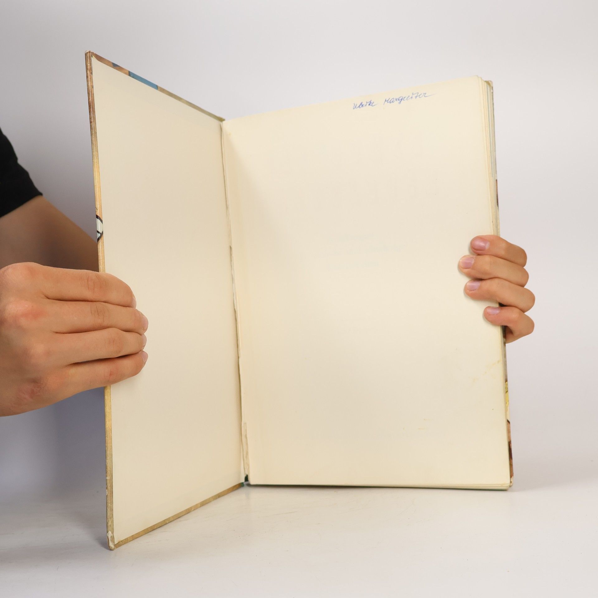 Josef Domany Das bunte Bastelbuch
