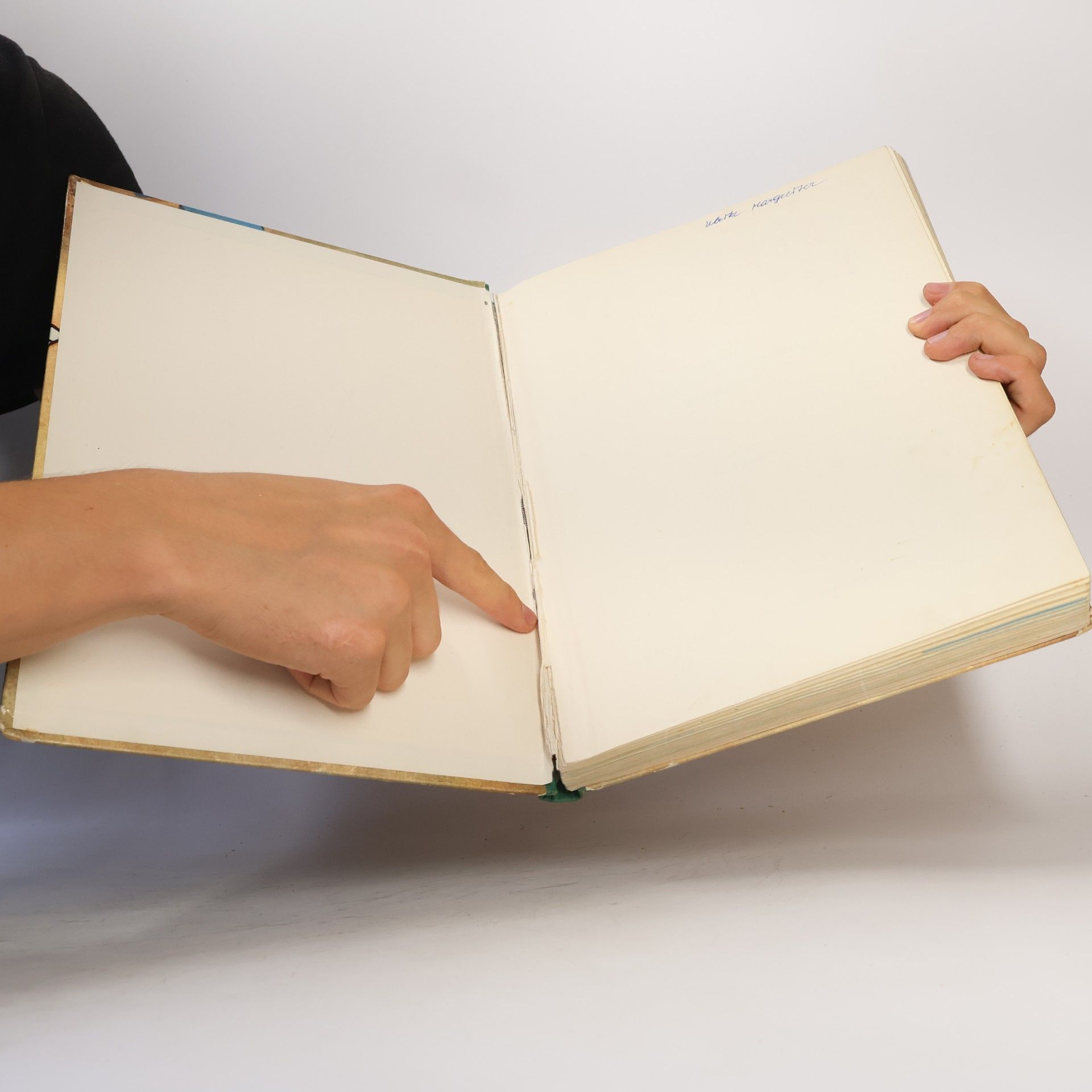Josef Domany Das bunte Bastelbuch