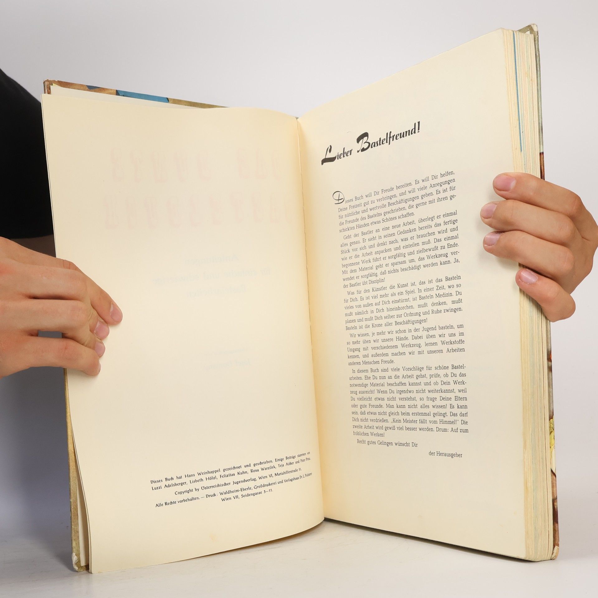 Josef Domany Das bunte Bastelbuch