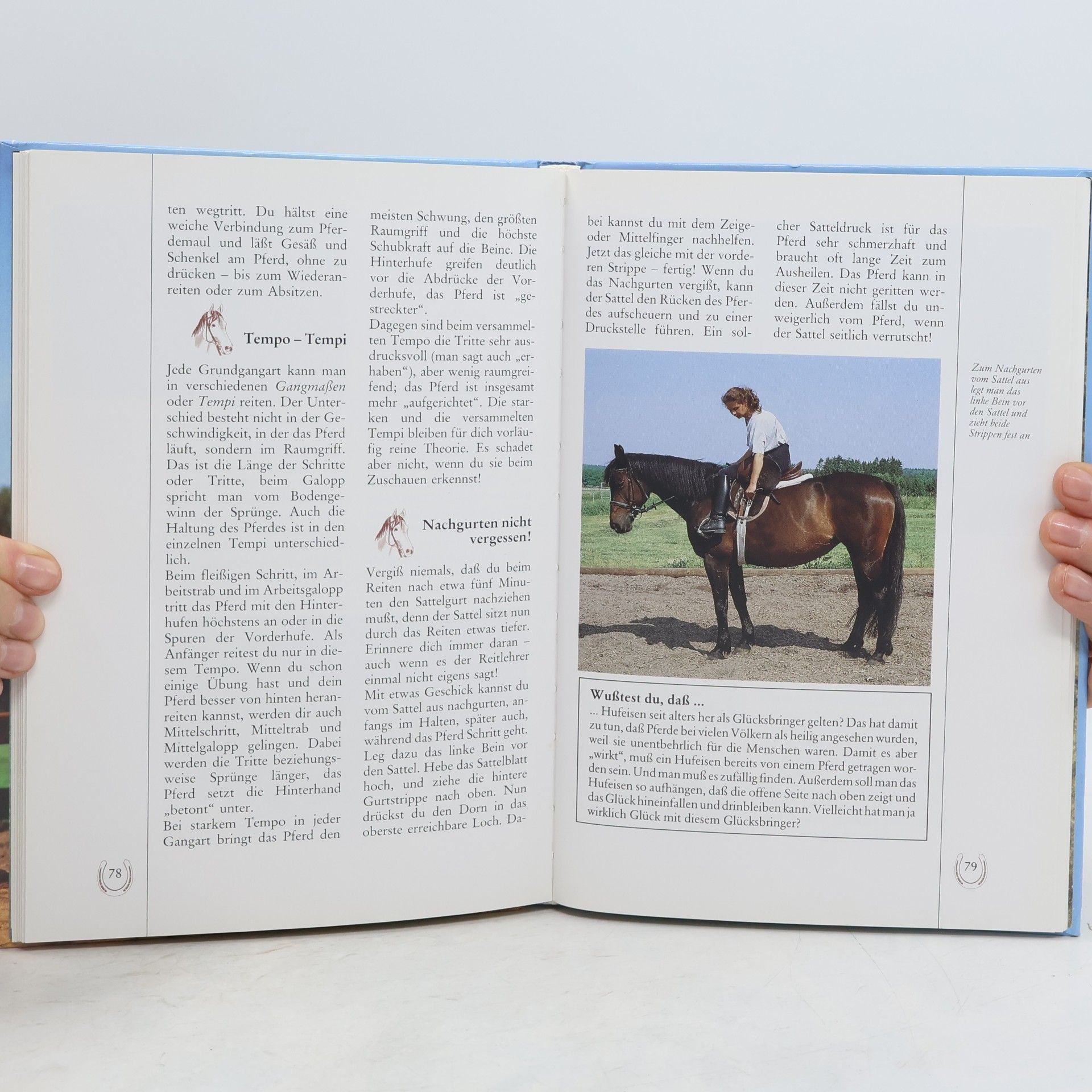 Edel Marzinek Späth Ich lerne reiten