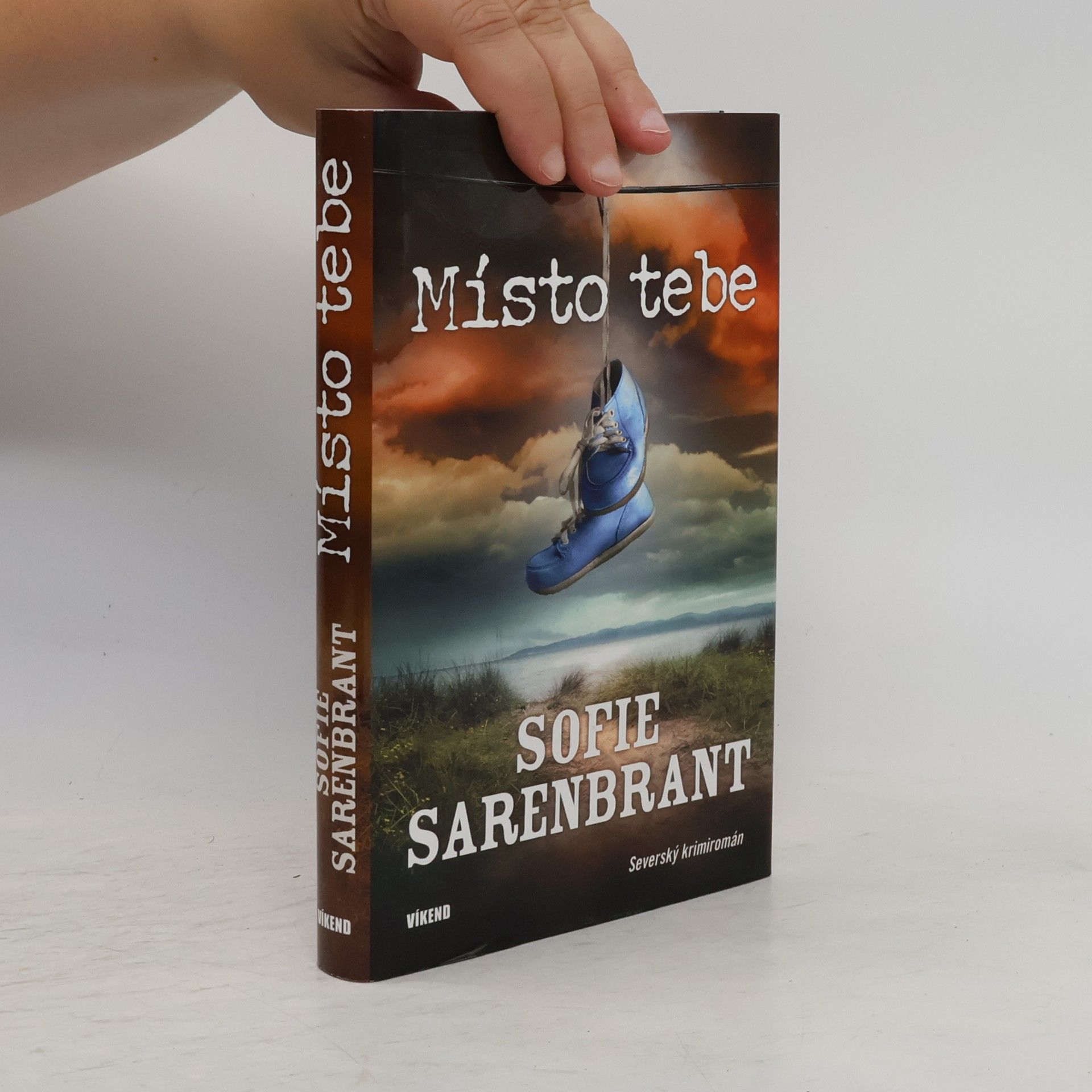 Sofie Sarenbrant Místo tebe
