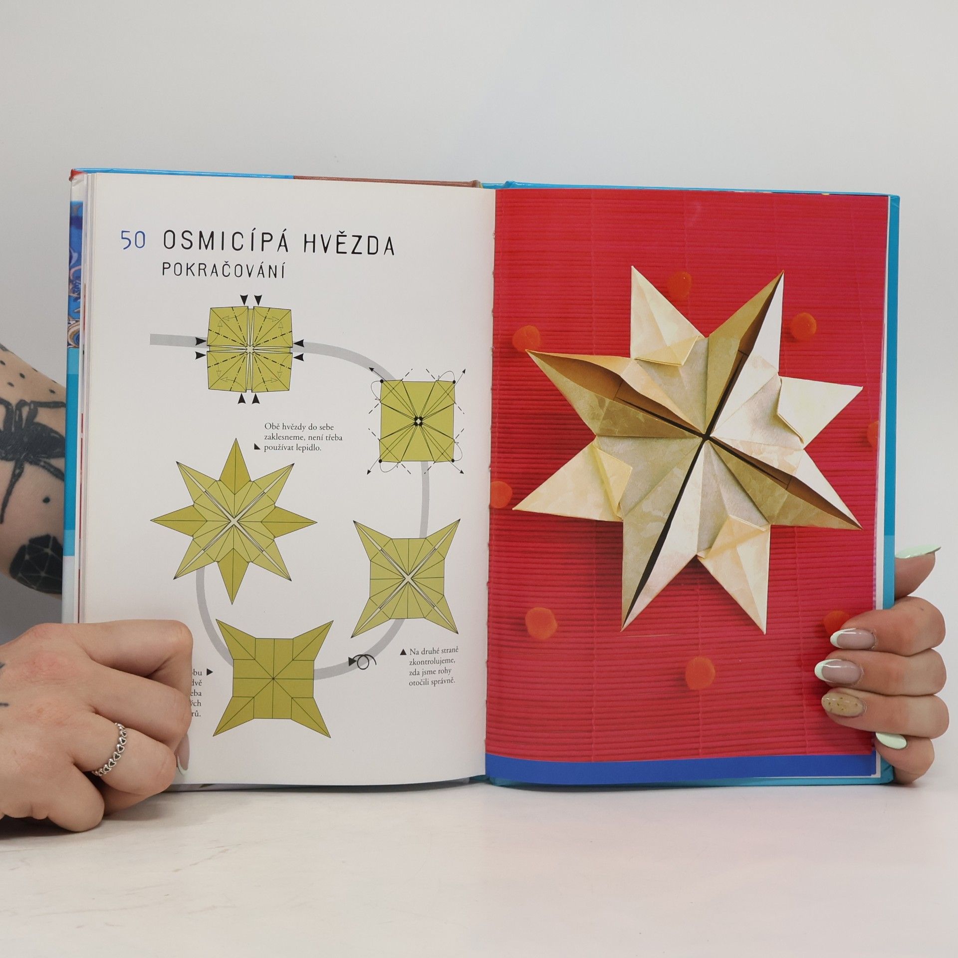 Amandine Dardenne Origami : skládání z papíru