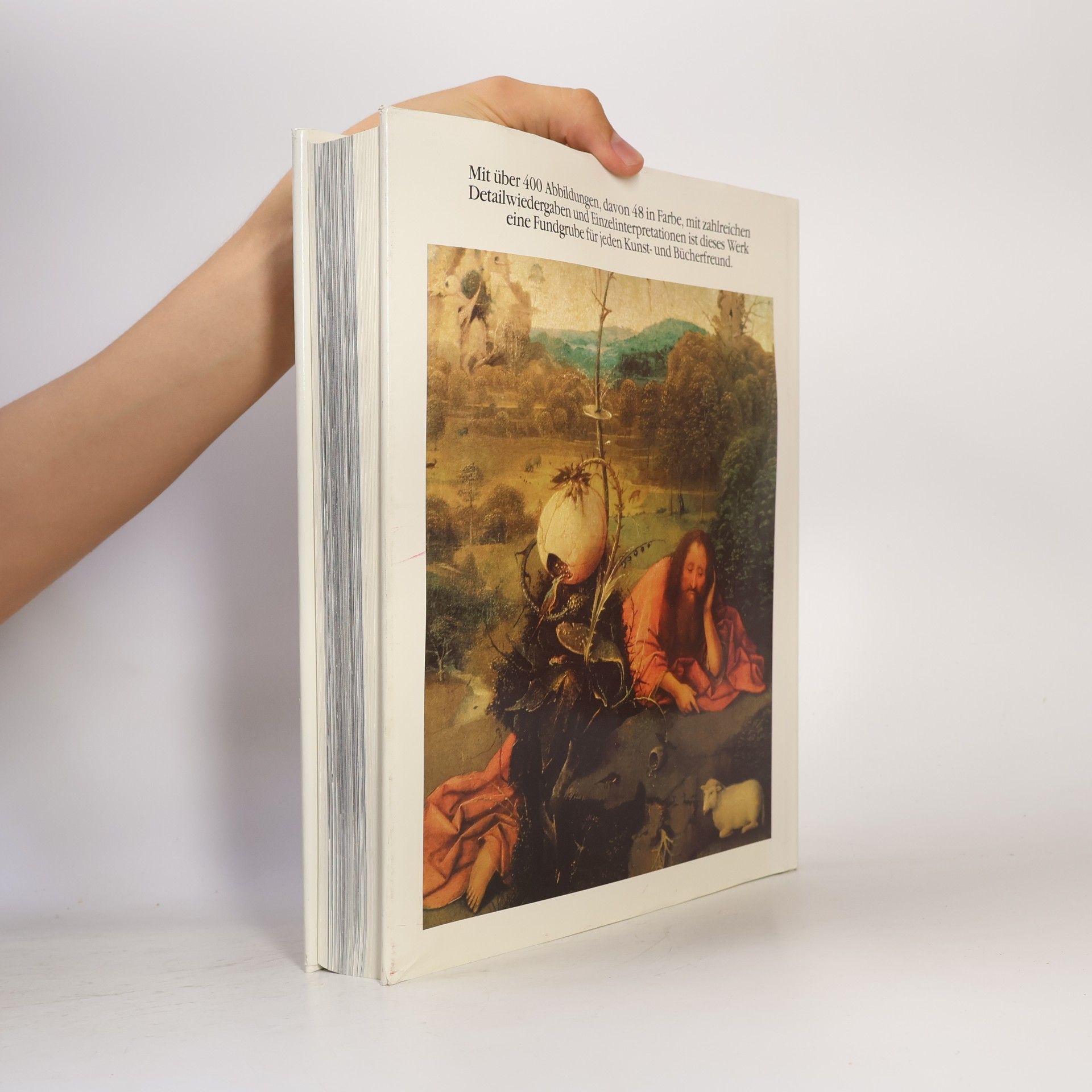 Charles De Tolnay Hieronymus Bosch: Das Gesamtwerk