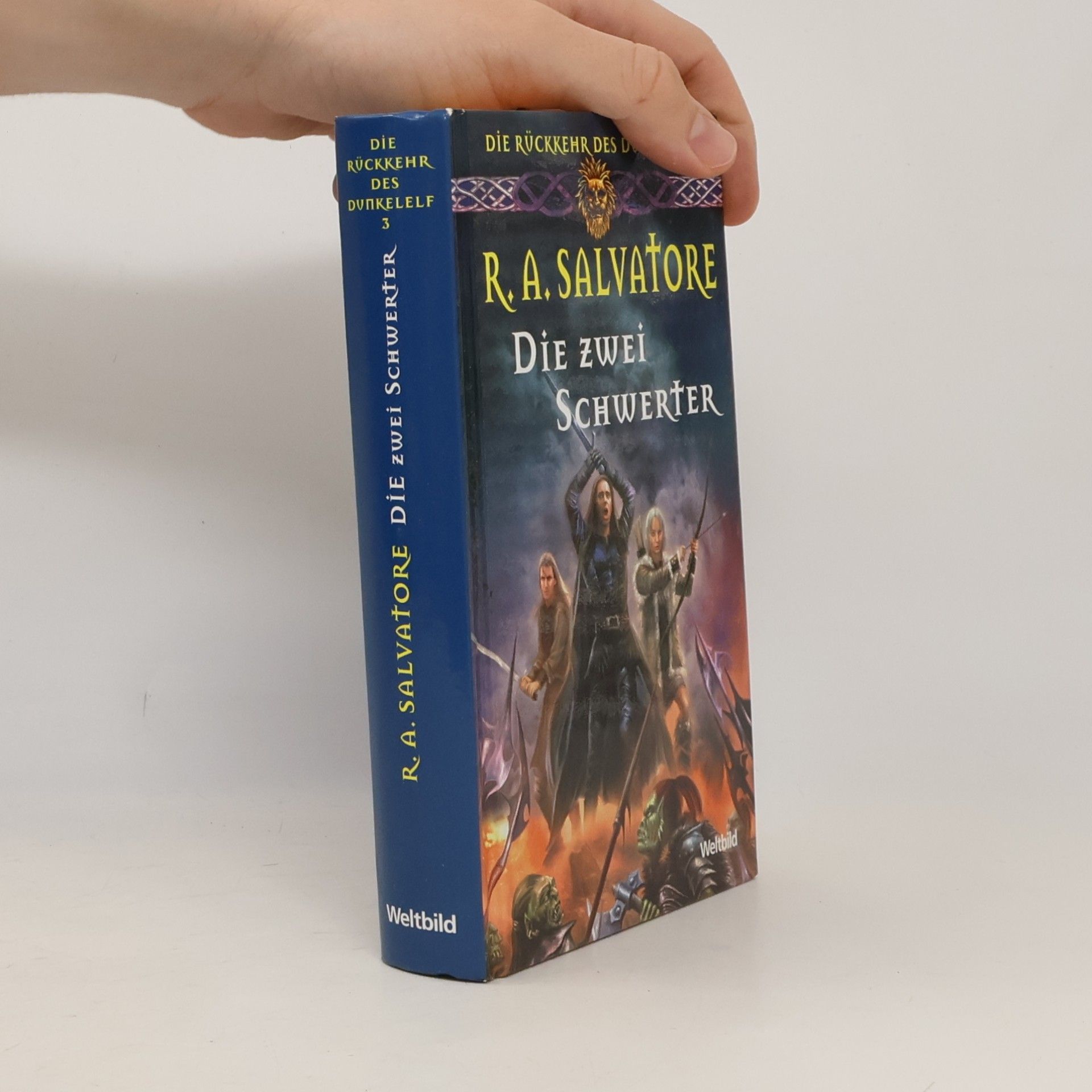 R. A. Salvatore Die zwei Schwerter
