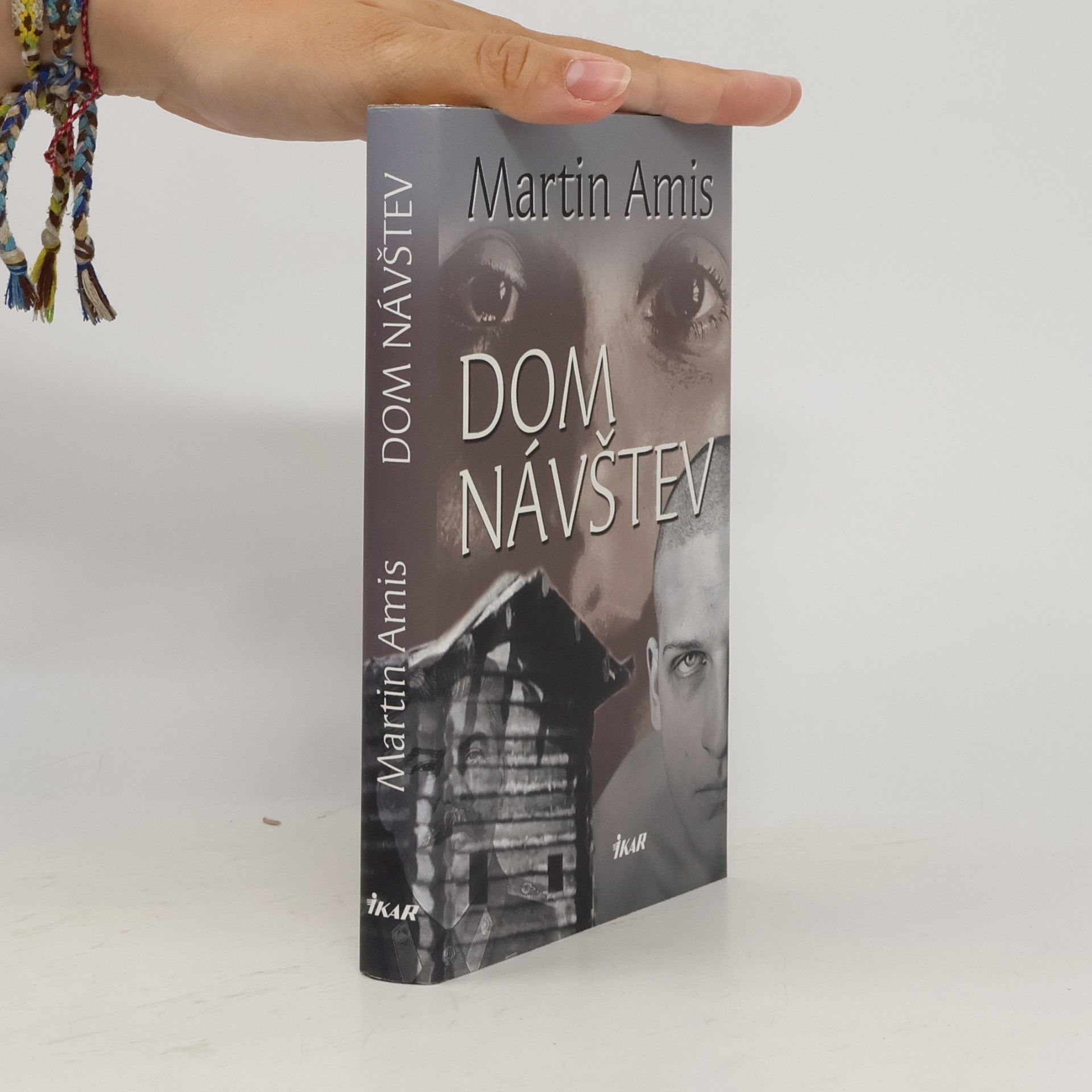 Martin Amis Dom návštev