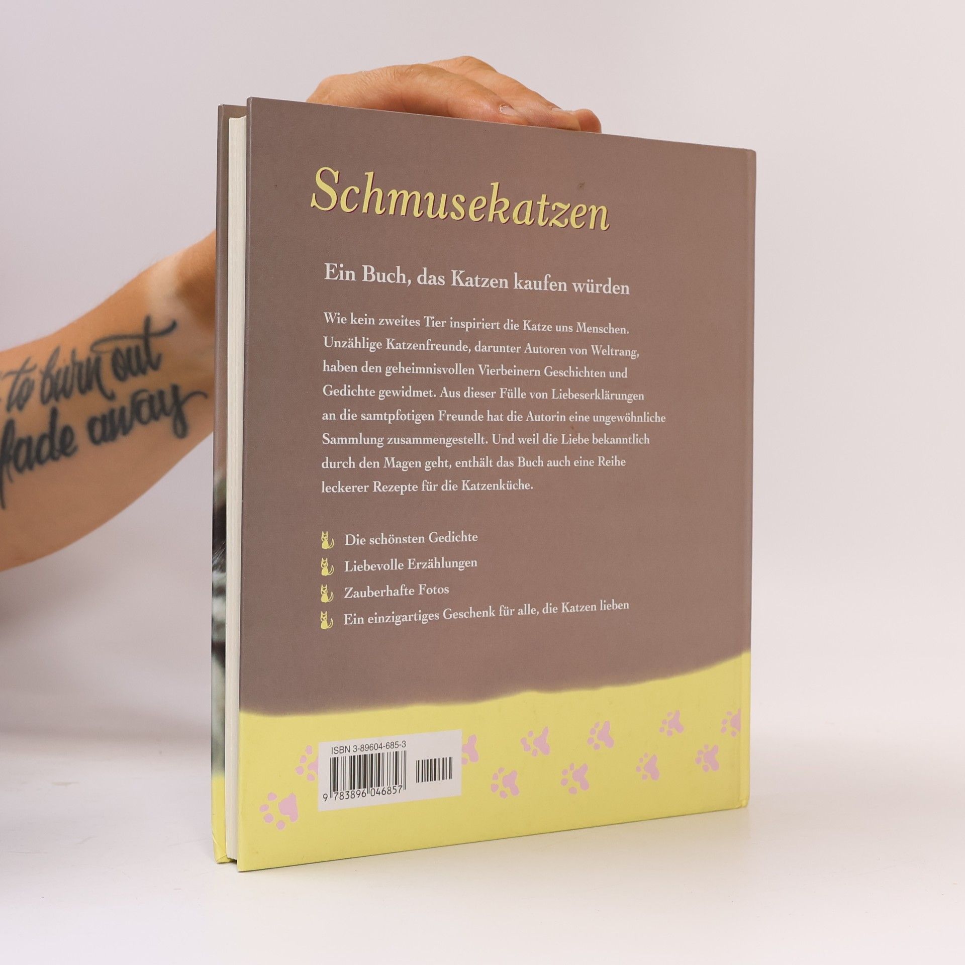 Monika Auberger Schmuse katzen